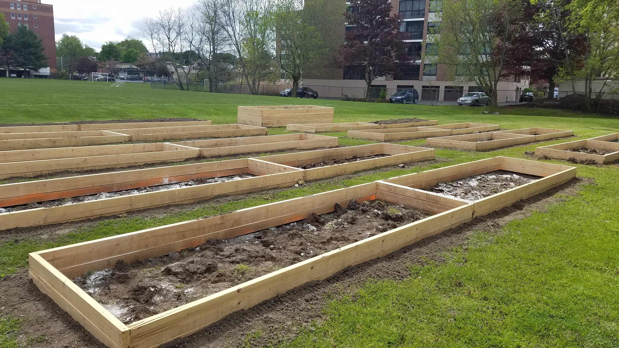 Community Garden - Beginning.jpg