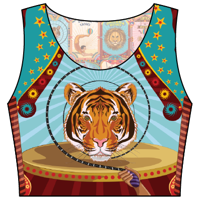 Circus Crop Top