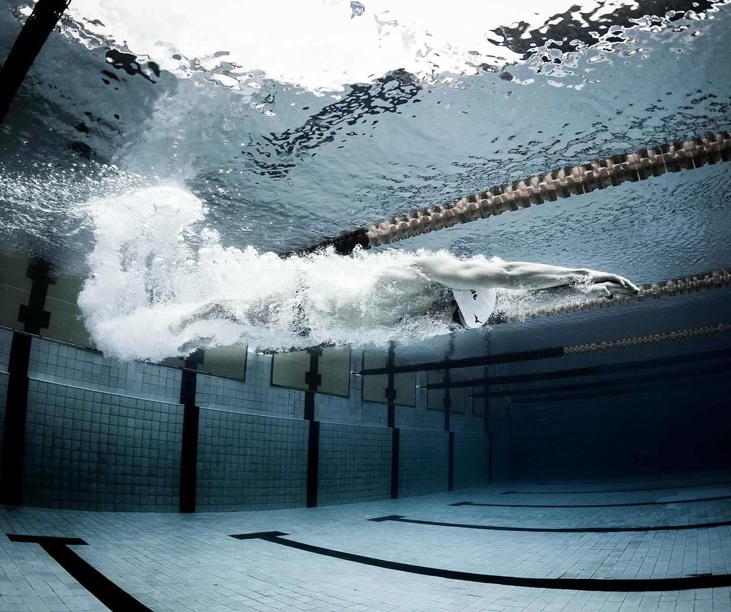 Love me a cool and moody dive shot 🤘🏻

@josh_matheny | @usaswimming 🫶🏻

#underwater #swimphotography #underwaterphoto
