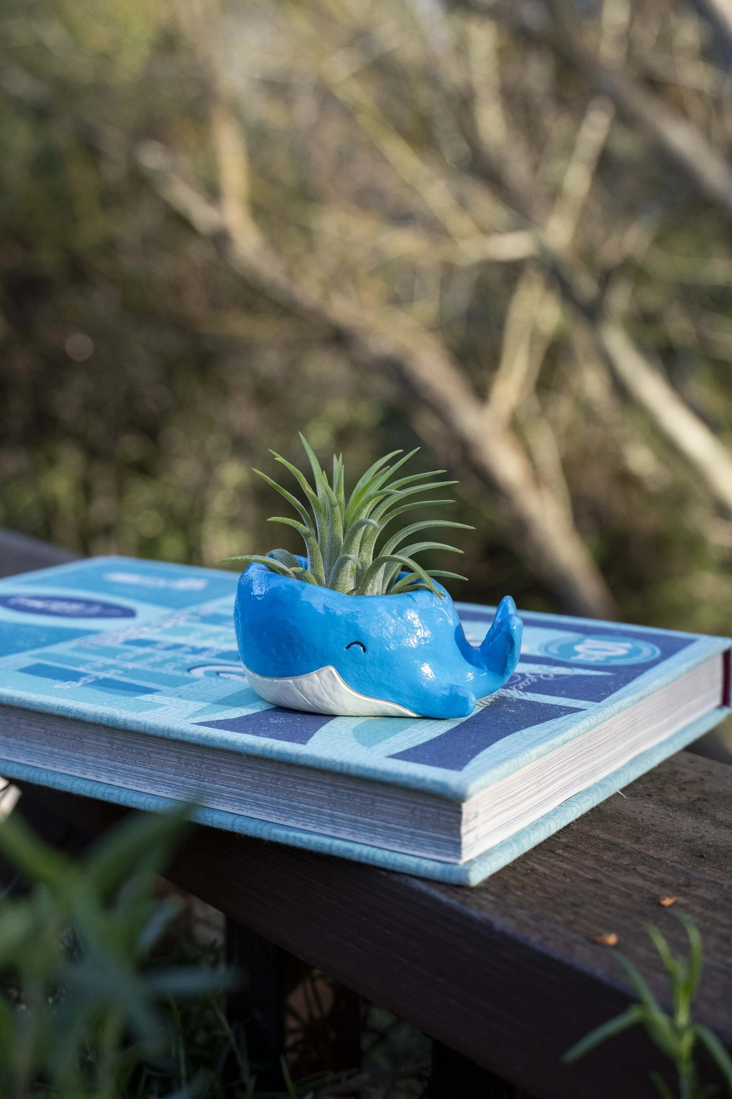 Billy (Handmade Whale Tiny Pot)