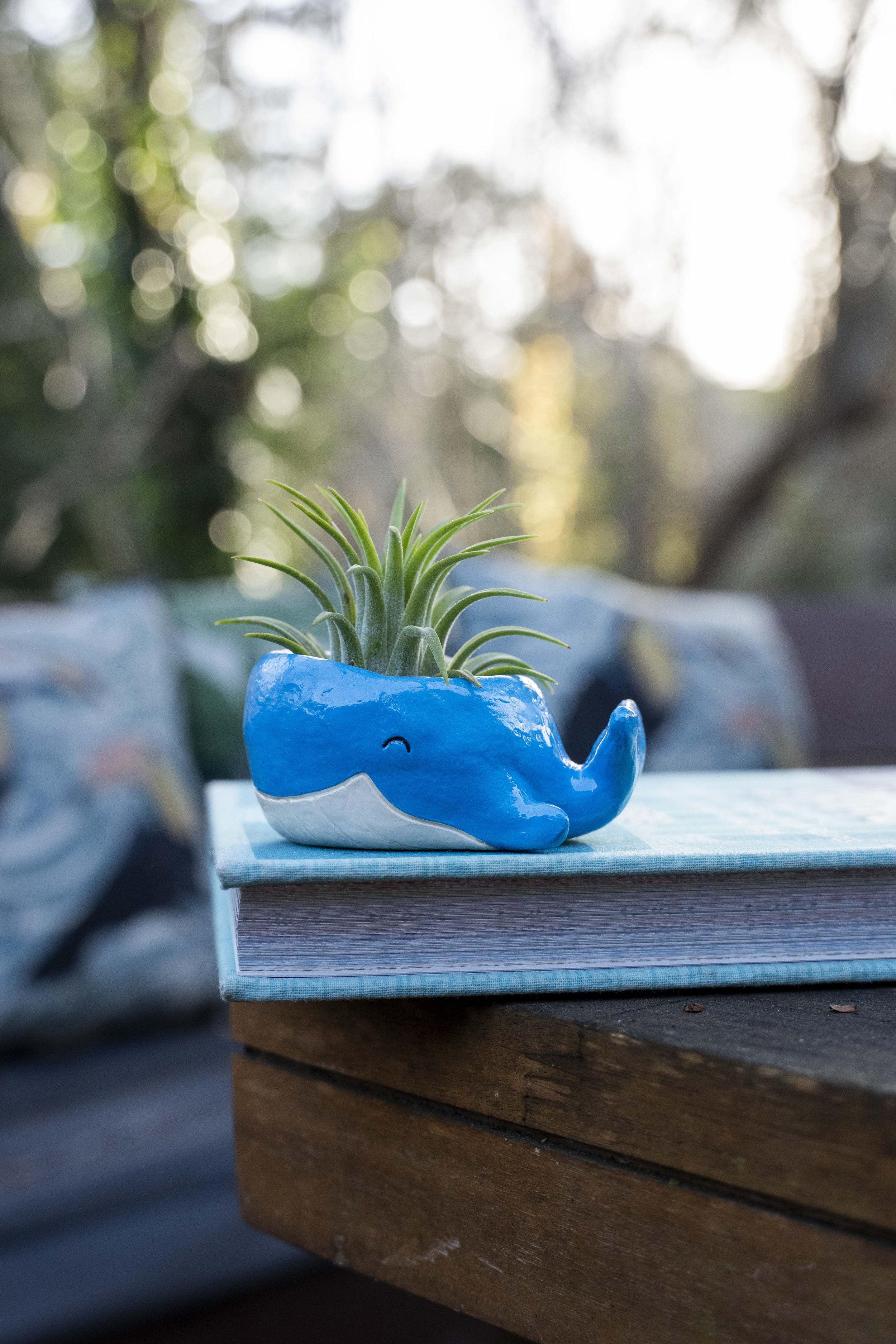 TinyWhalePot_20.jpg