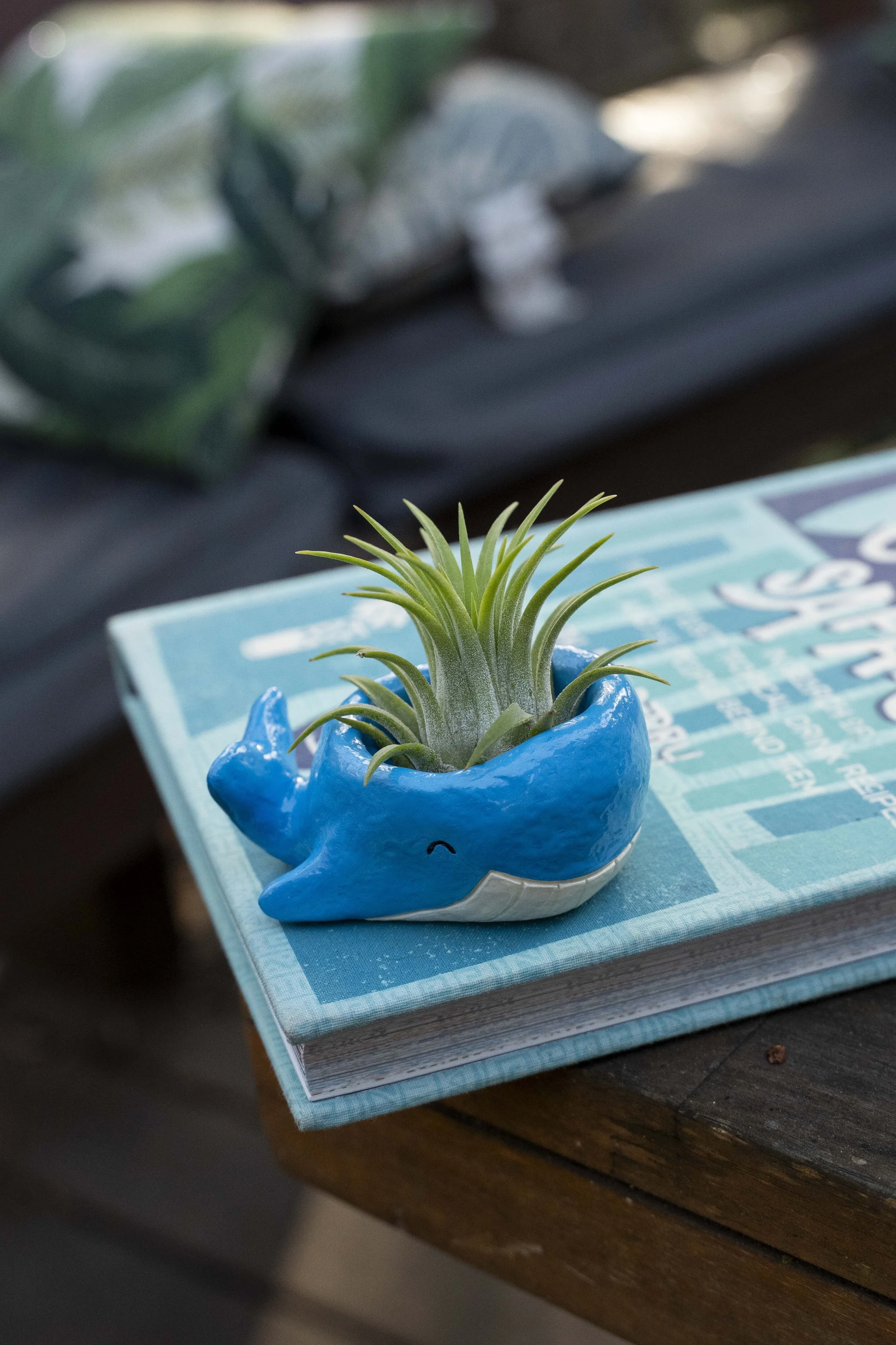 TinyWhalePot_12.jpg