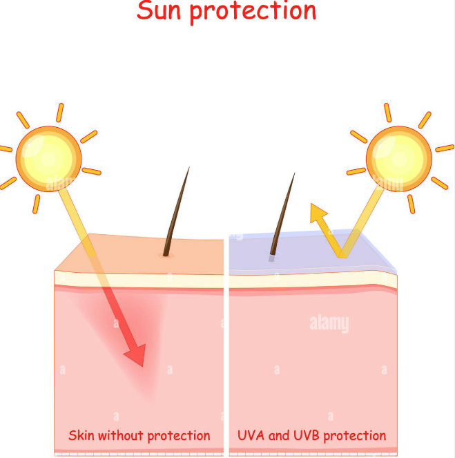 UVprotection