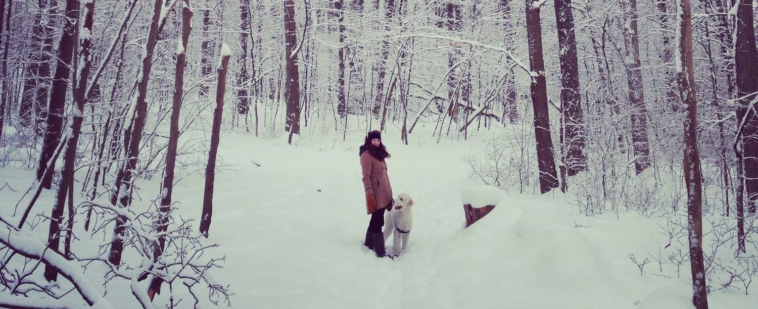 Breithaupt Park in Winter.jpg