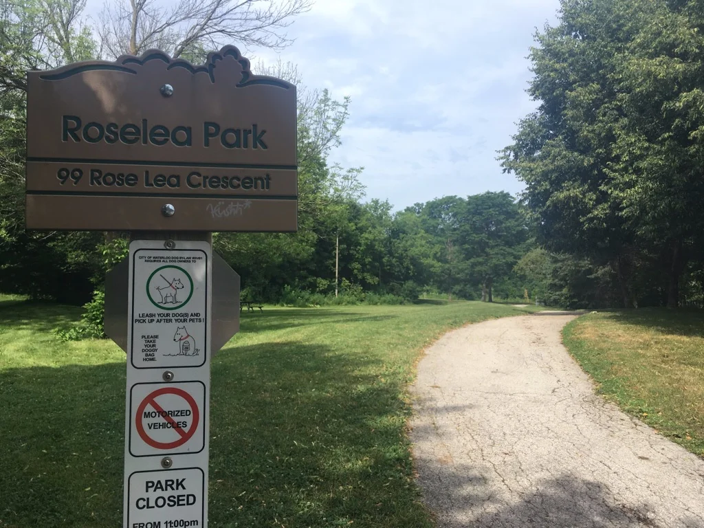 Roselea Park in the summer.