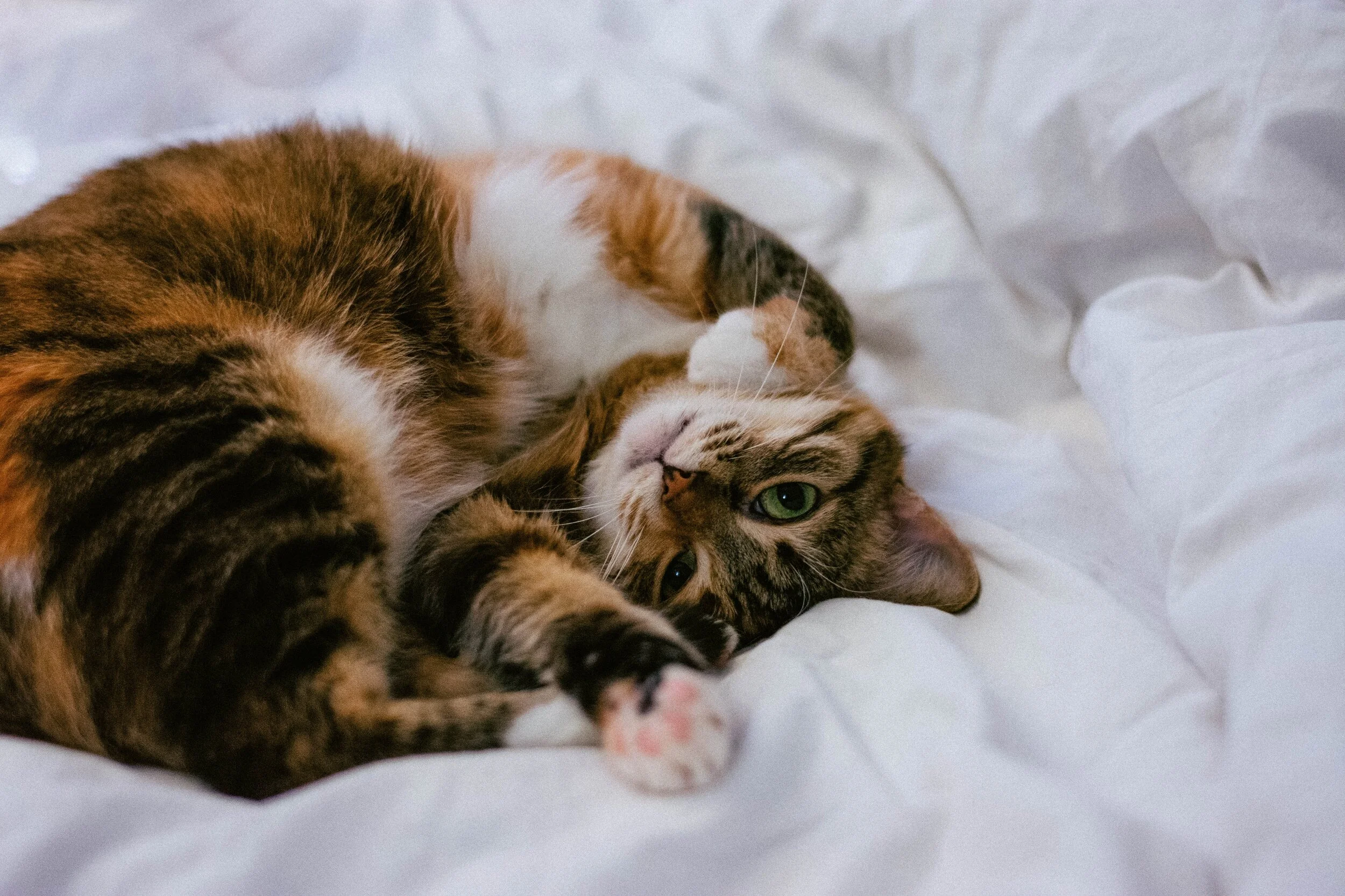 Transforming Pussy Pain into Pleasure