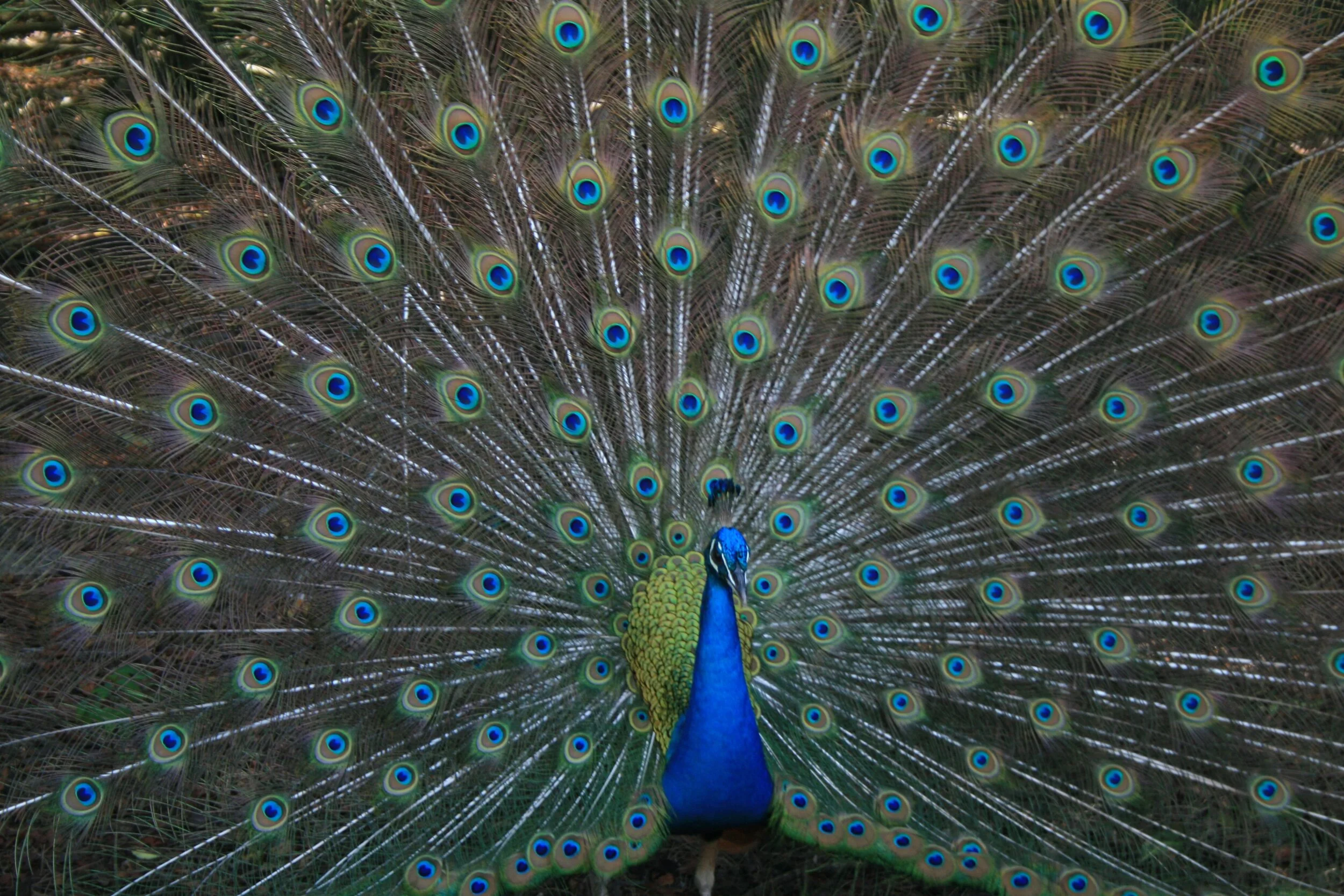 10 Questions for Your New Year's Ritual