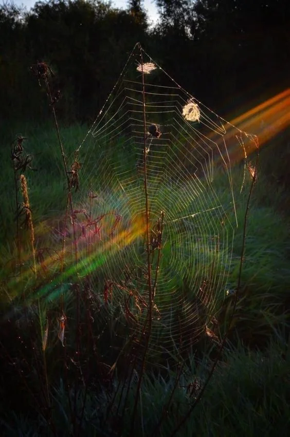 To get the results we want, we need to stop focusing on them and pay attention to this instead...