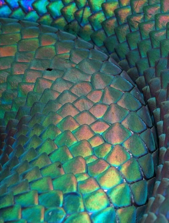 Natural Iridescent Inspiration _ M&J Blog.jpeg