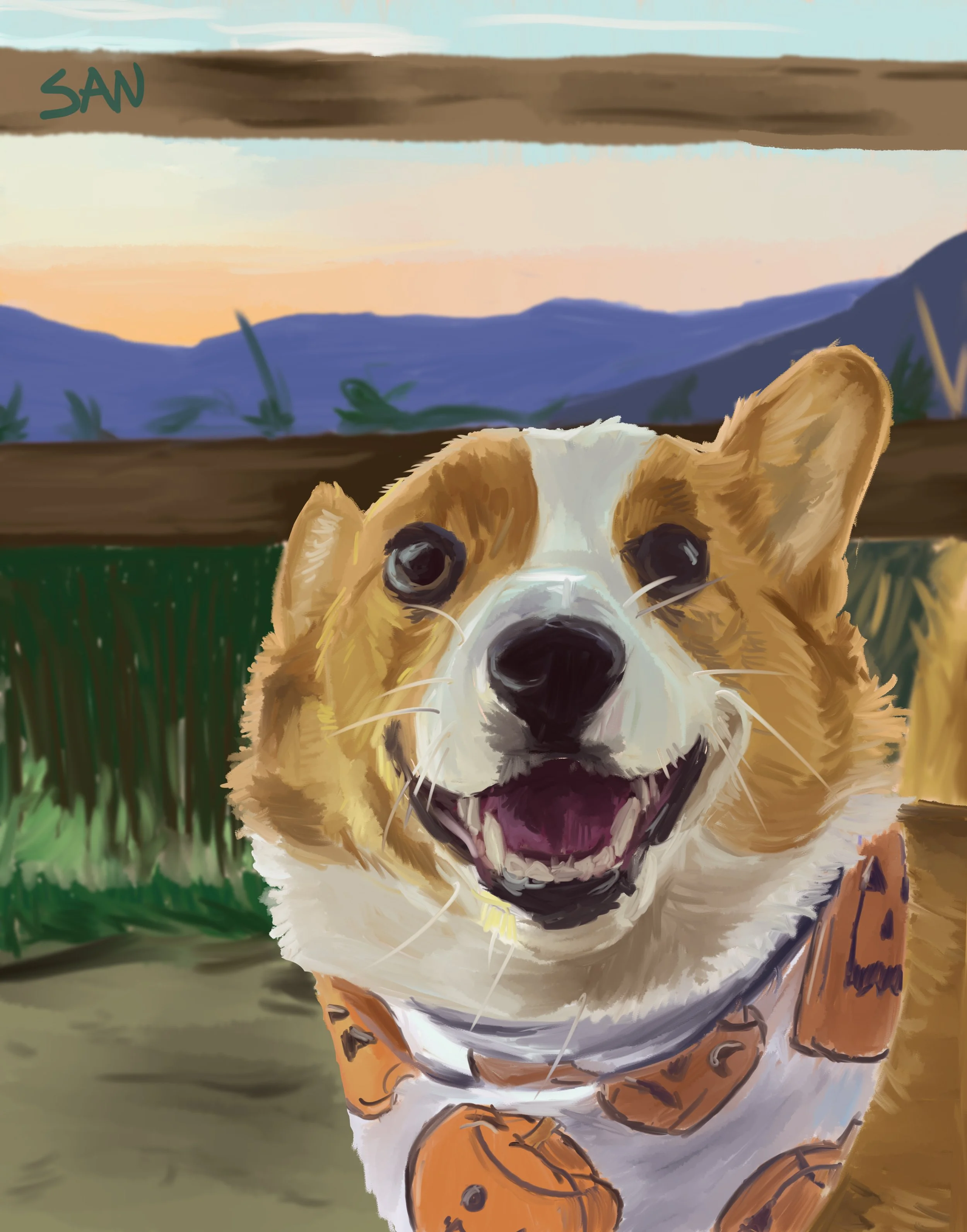 jeremy_corgi_web.jpg