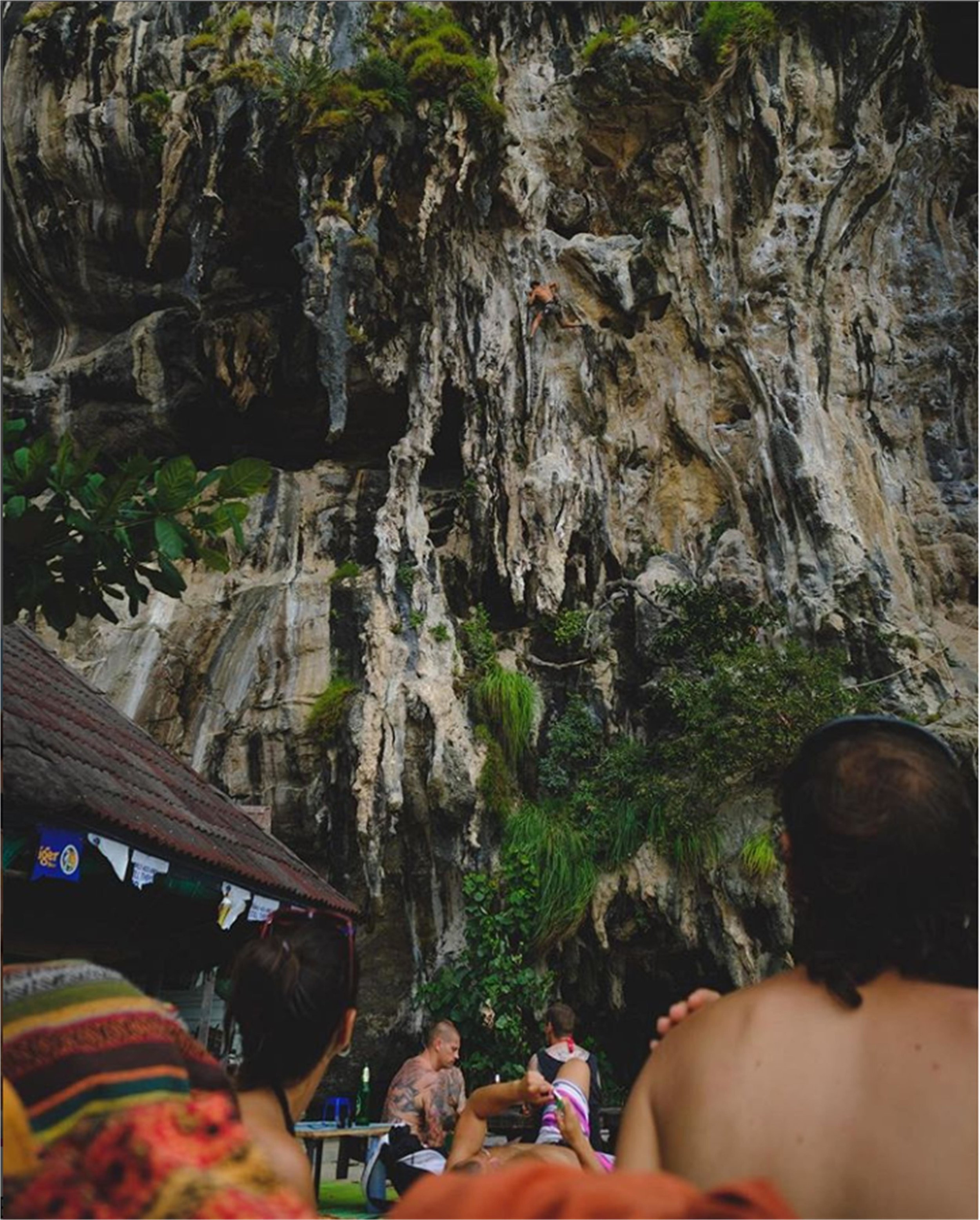 Tonsai.jpg