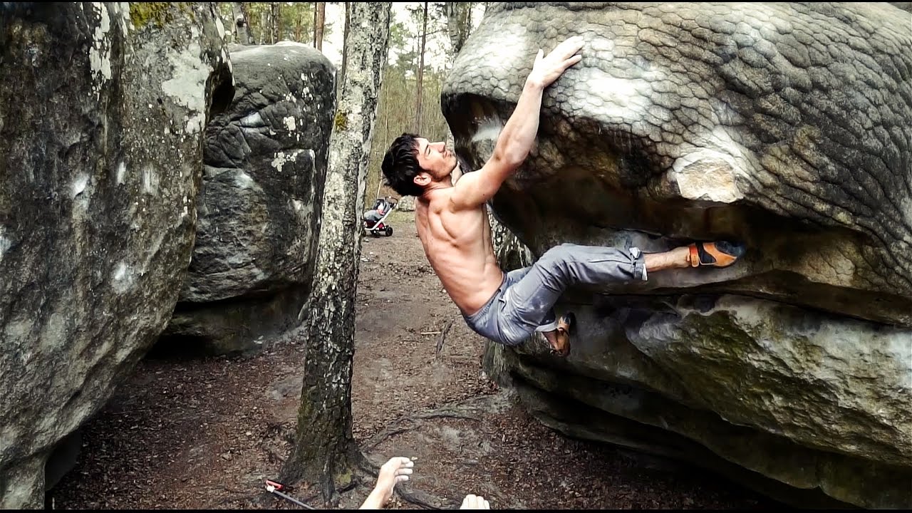 Fontainebleau.jpg