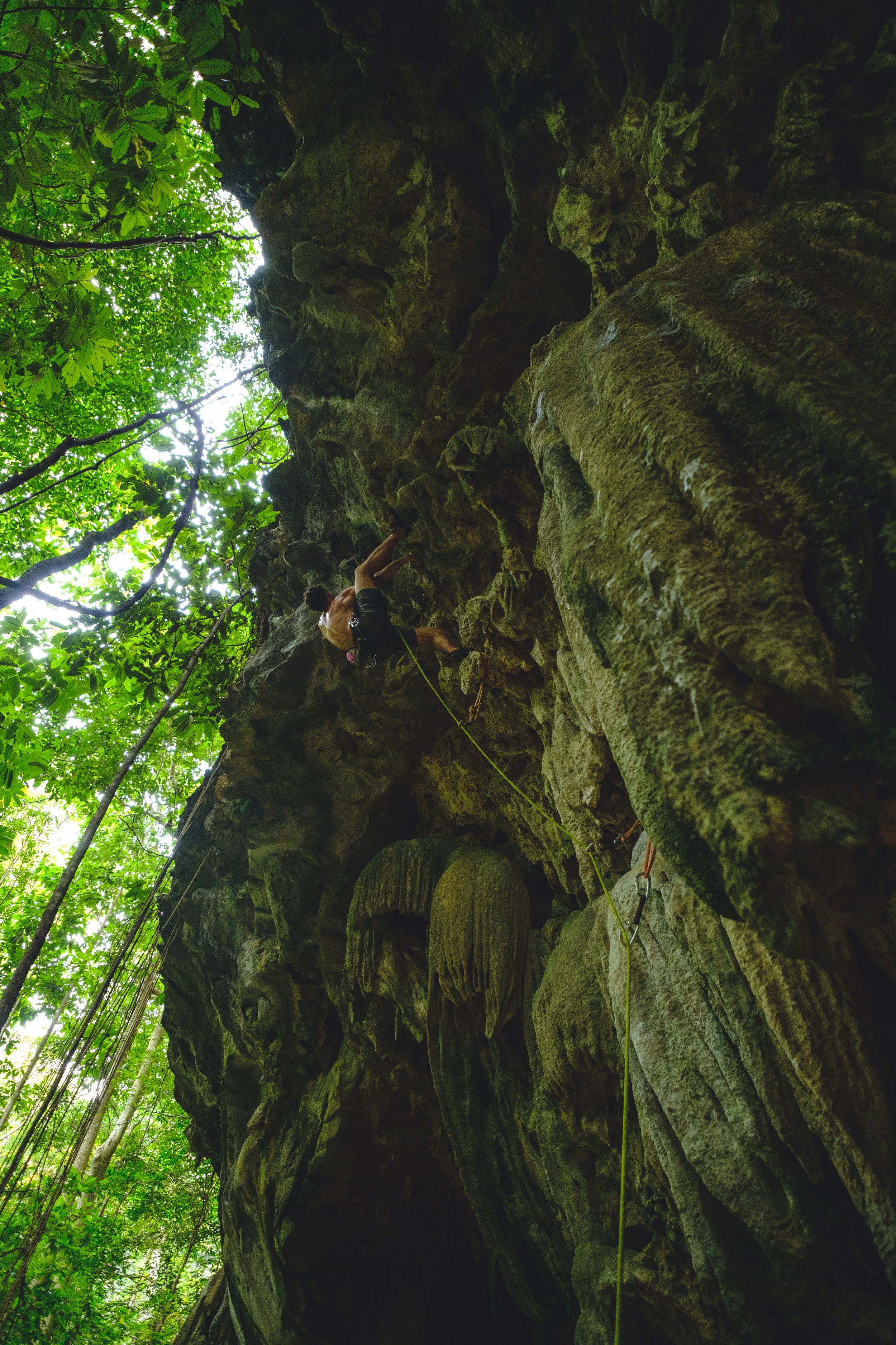 Miles at a lush Ton Sai, Thailand.