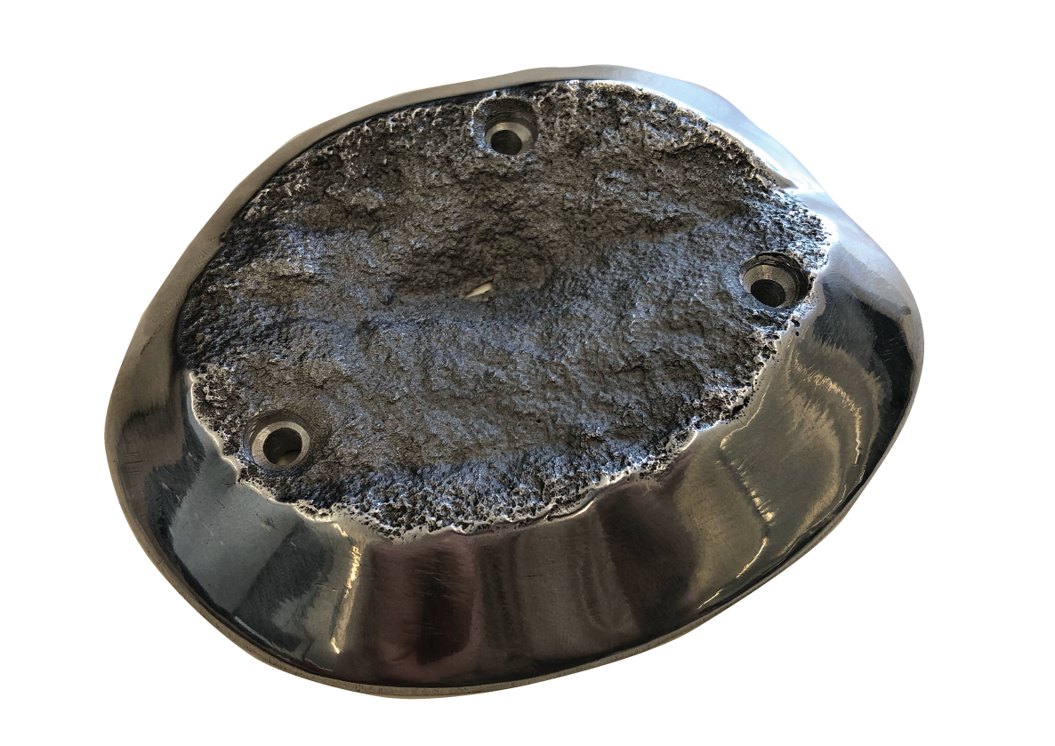 Shiny Hold jpg.jpg