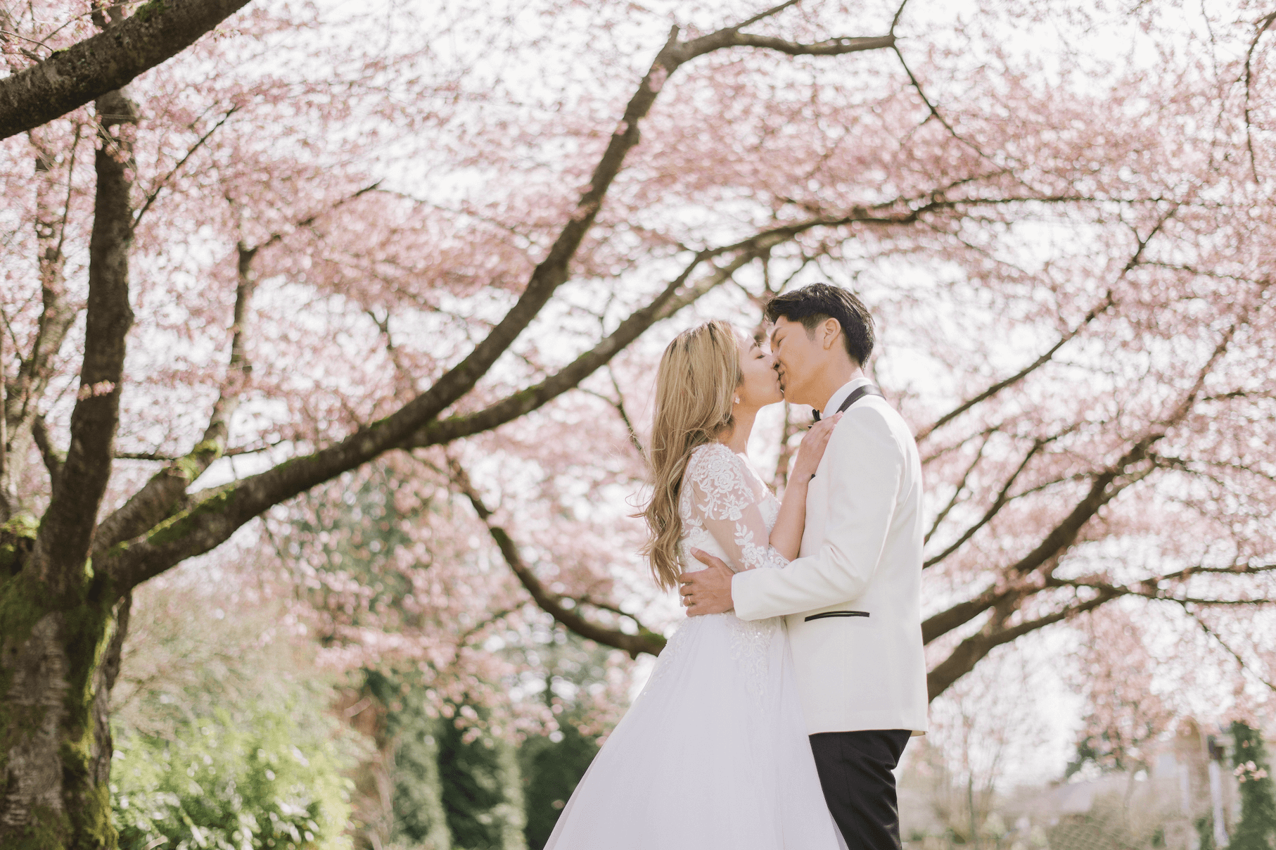 Cherry Blossom at Queen Elizabeth Park Wedding Photography