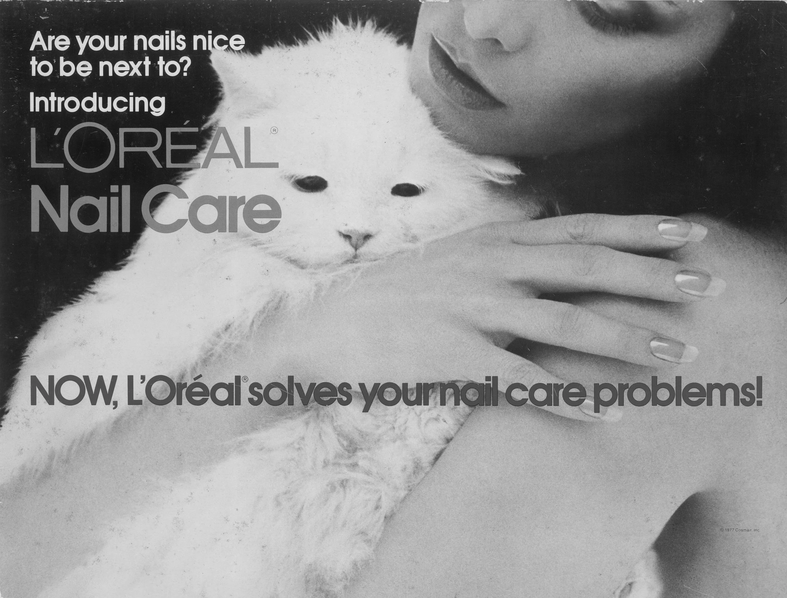 Loreal Cat photo.jpeg