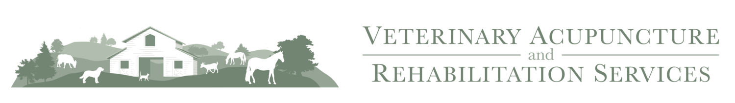 Veterinary Acupuncture Services