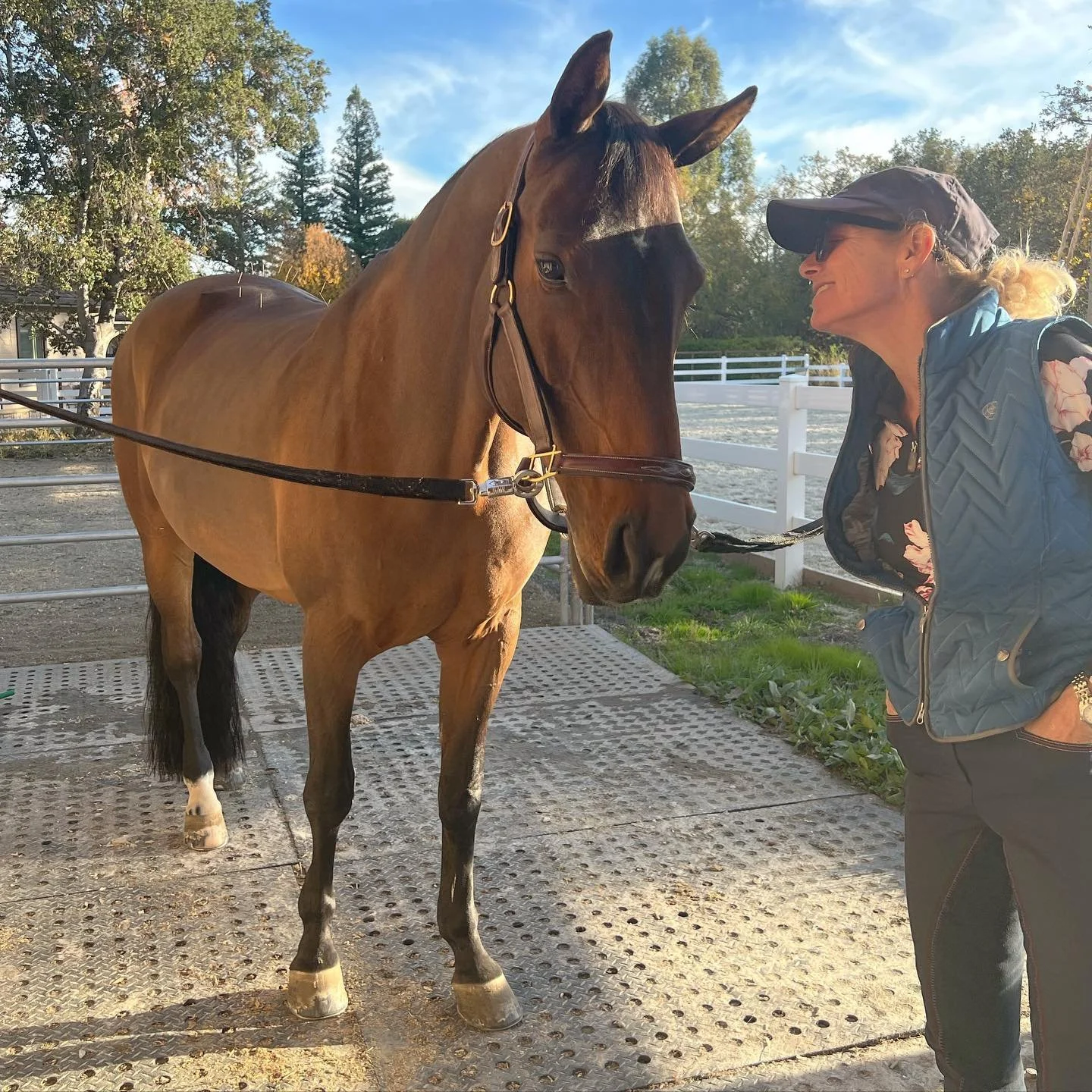 Just out here living the dream 🐴 🪡! Dr. Allie is so happy and grateful to be back treating her horse patients again. #equineacupuncture #equinevet #equineintegrativemedicine #coldlasertherapy #veterinaryacupuncture
