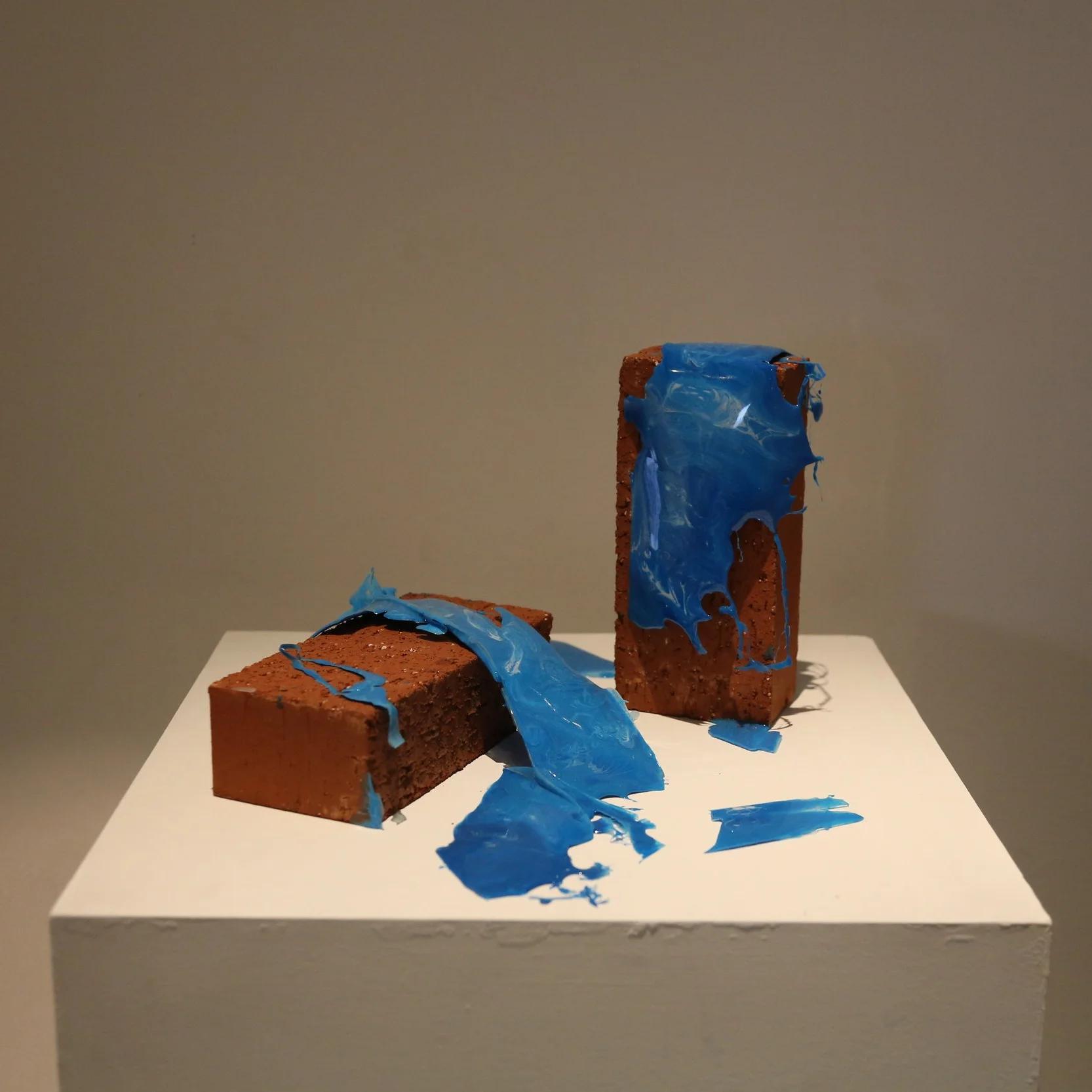 1J6A6742.jpg