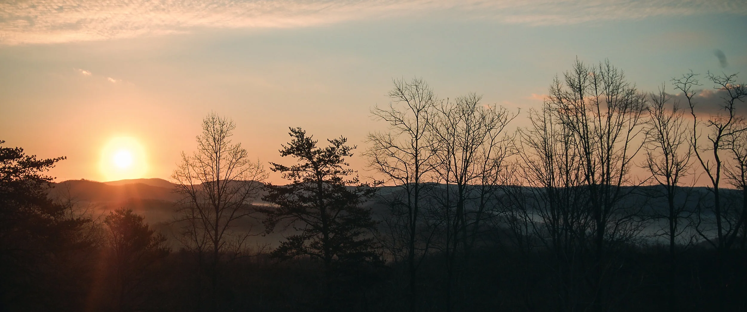 DSC_1009.jpg