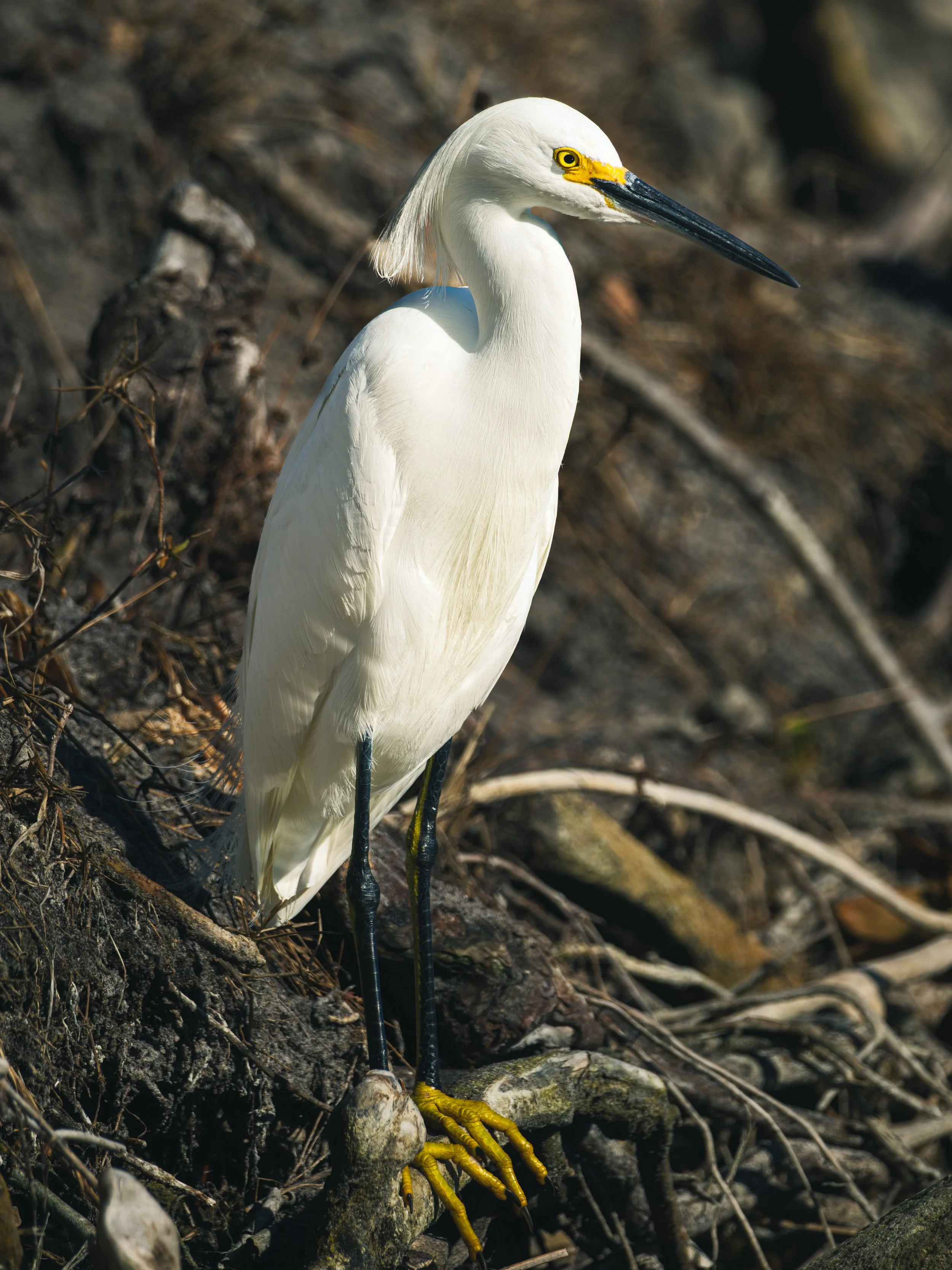 DSCF1295.JPG