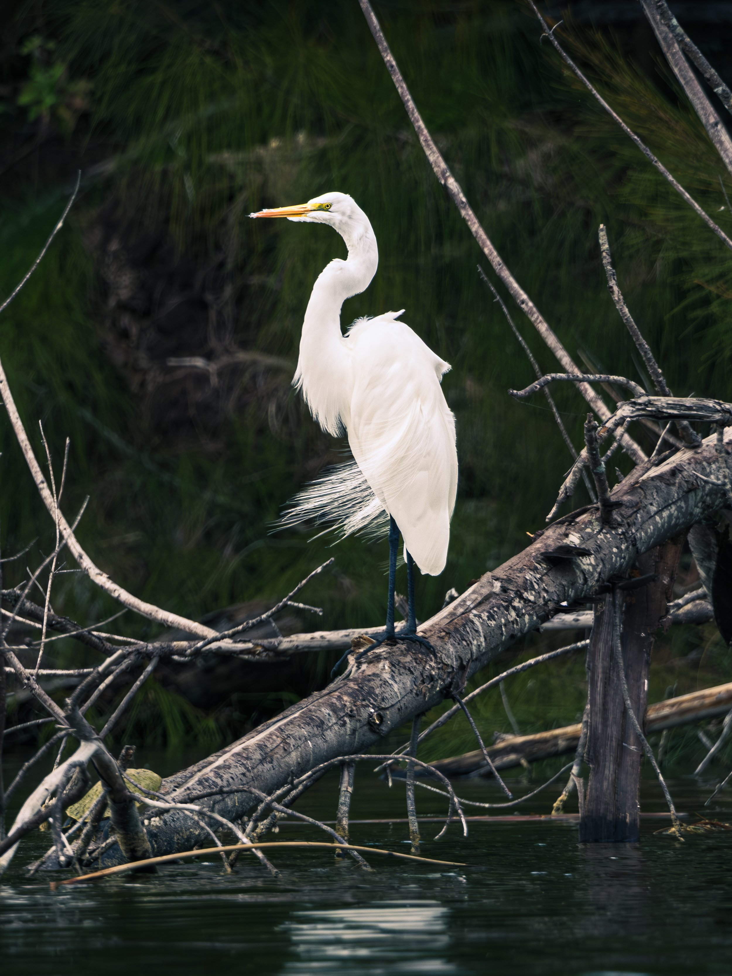 DSCF8837.JPG