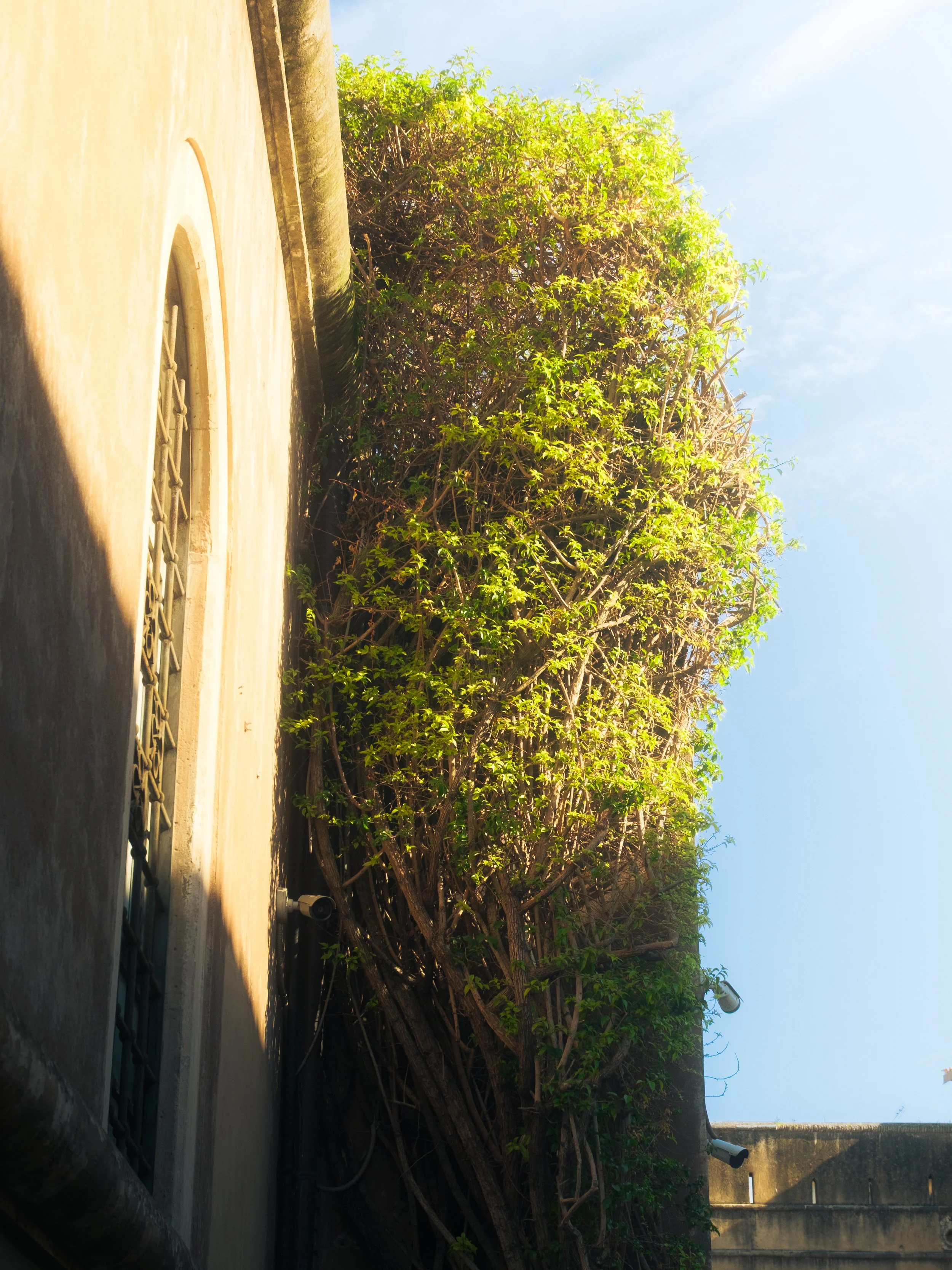 DSCF2319.jpg