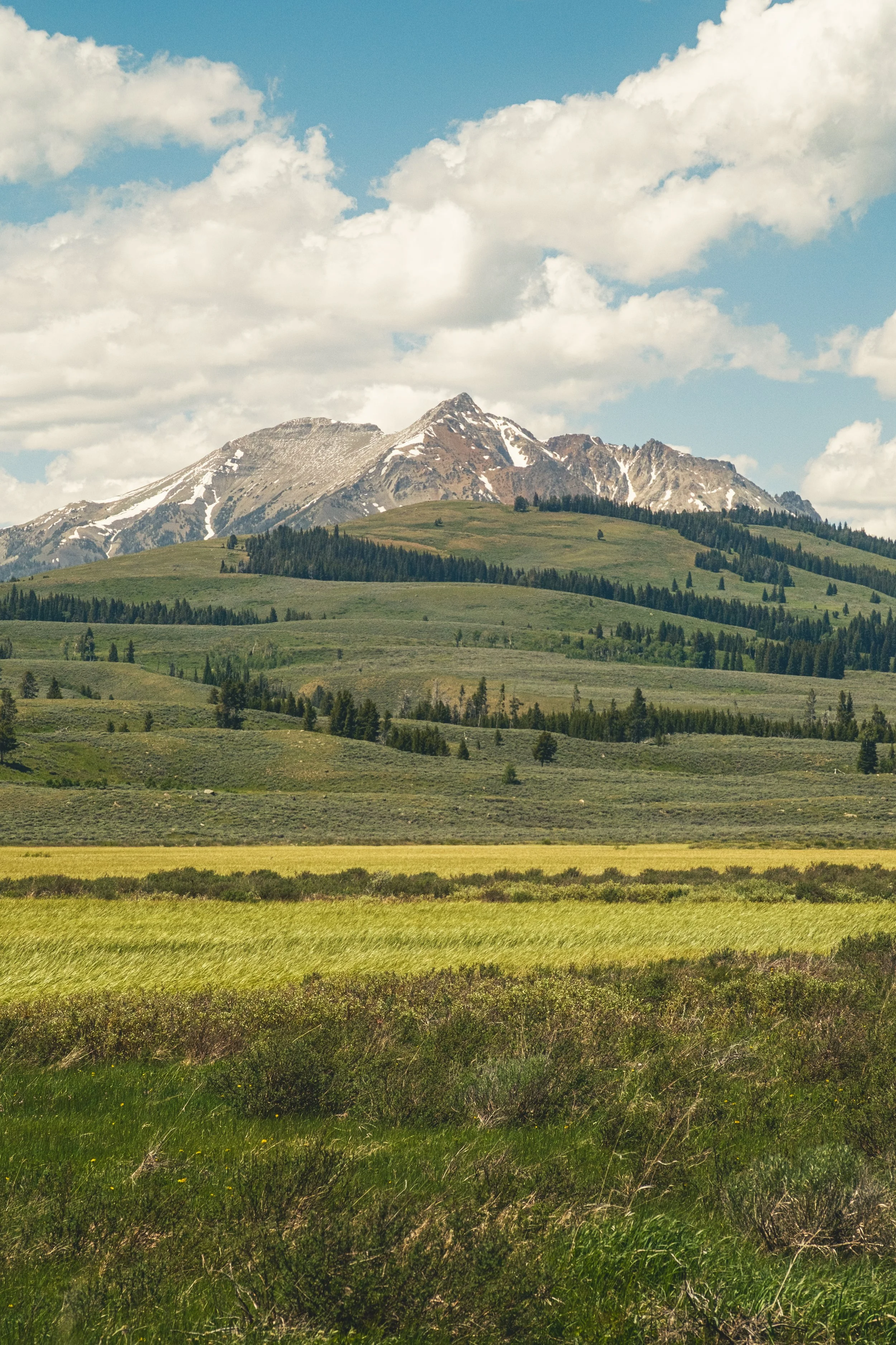 DSCF6823.jpg