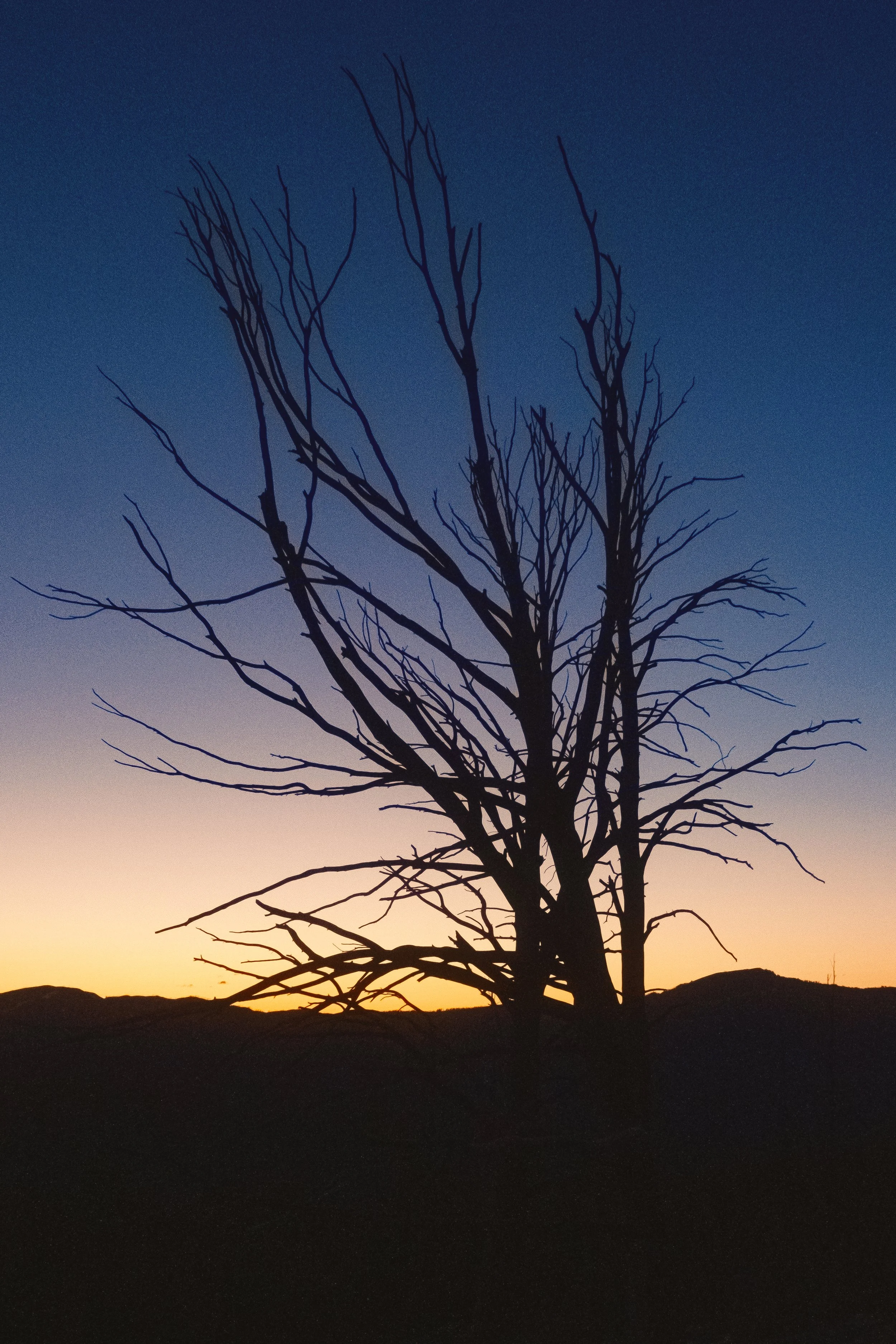 DSCF6934.jpg