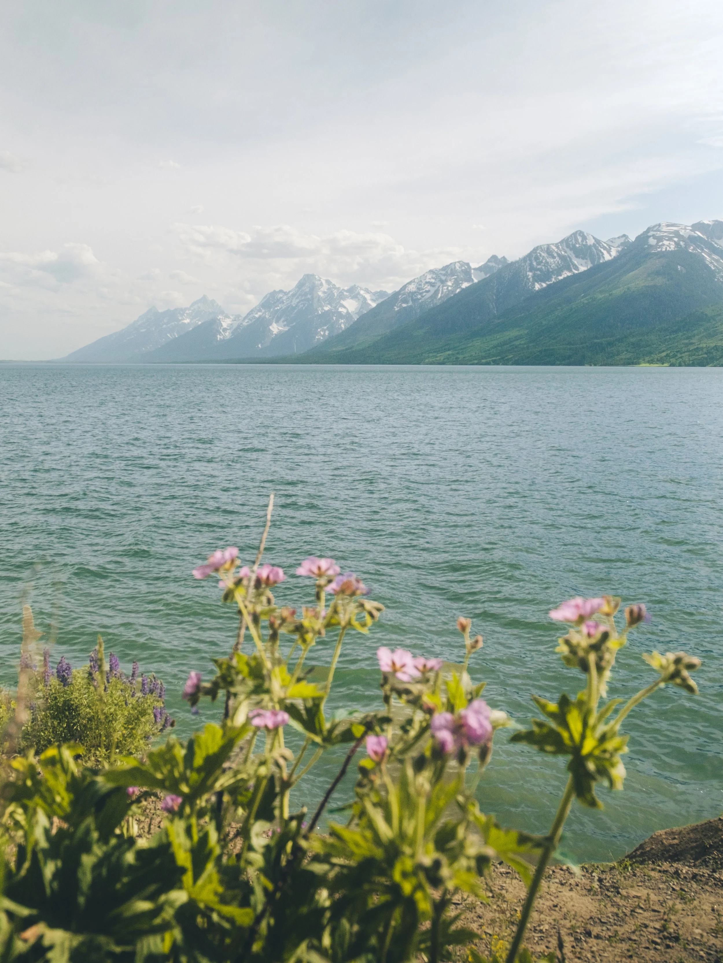 DSCF7194.jpg