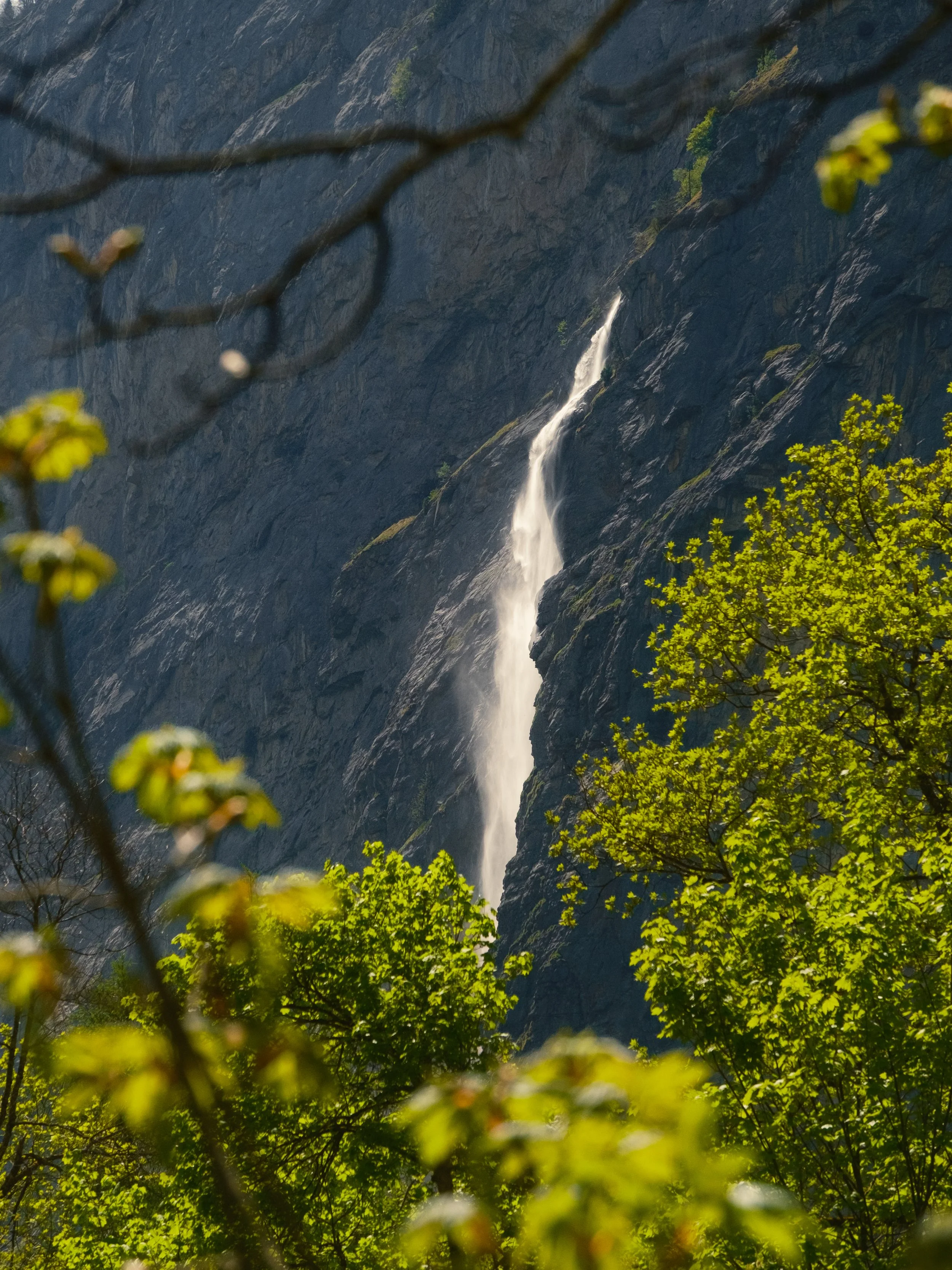 DSCF3161.jpg