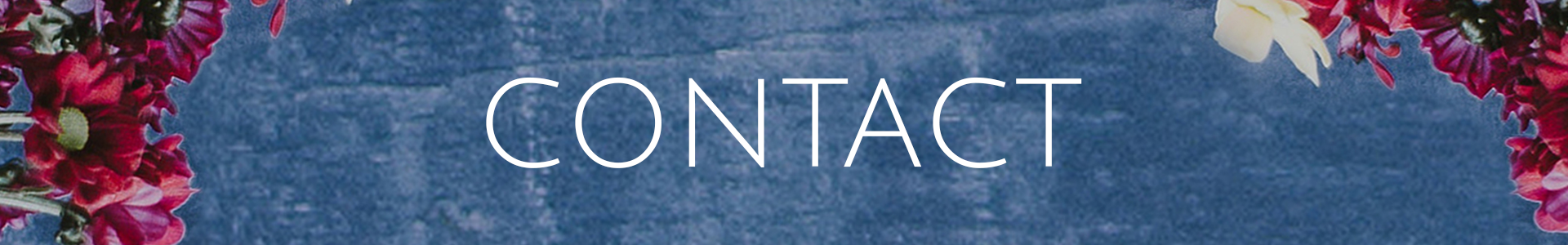 Contact Header.png