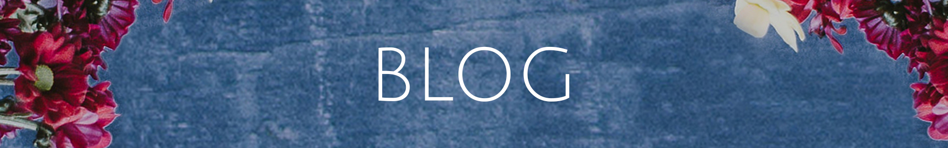 Blog Header.png