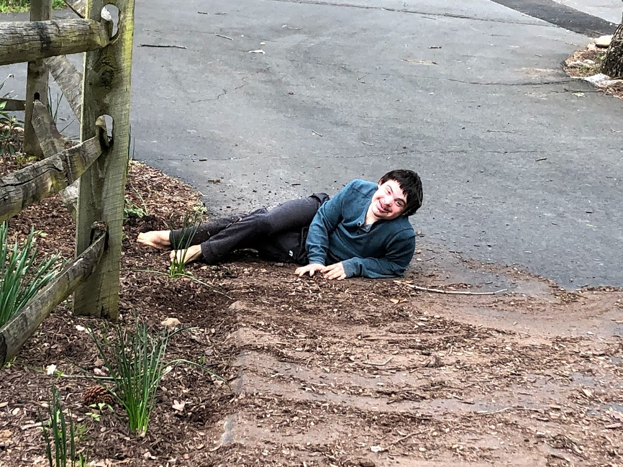 MULCH FLIES, BERRIES ROLL
