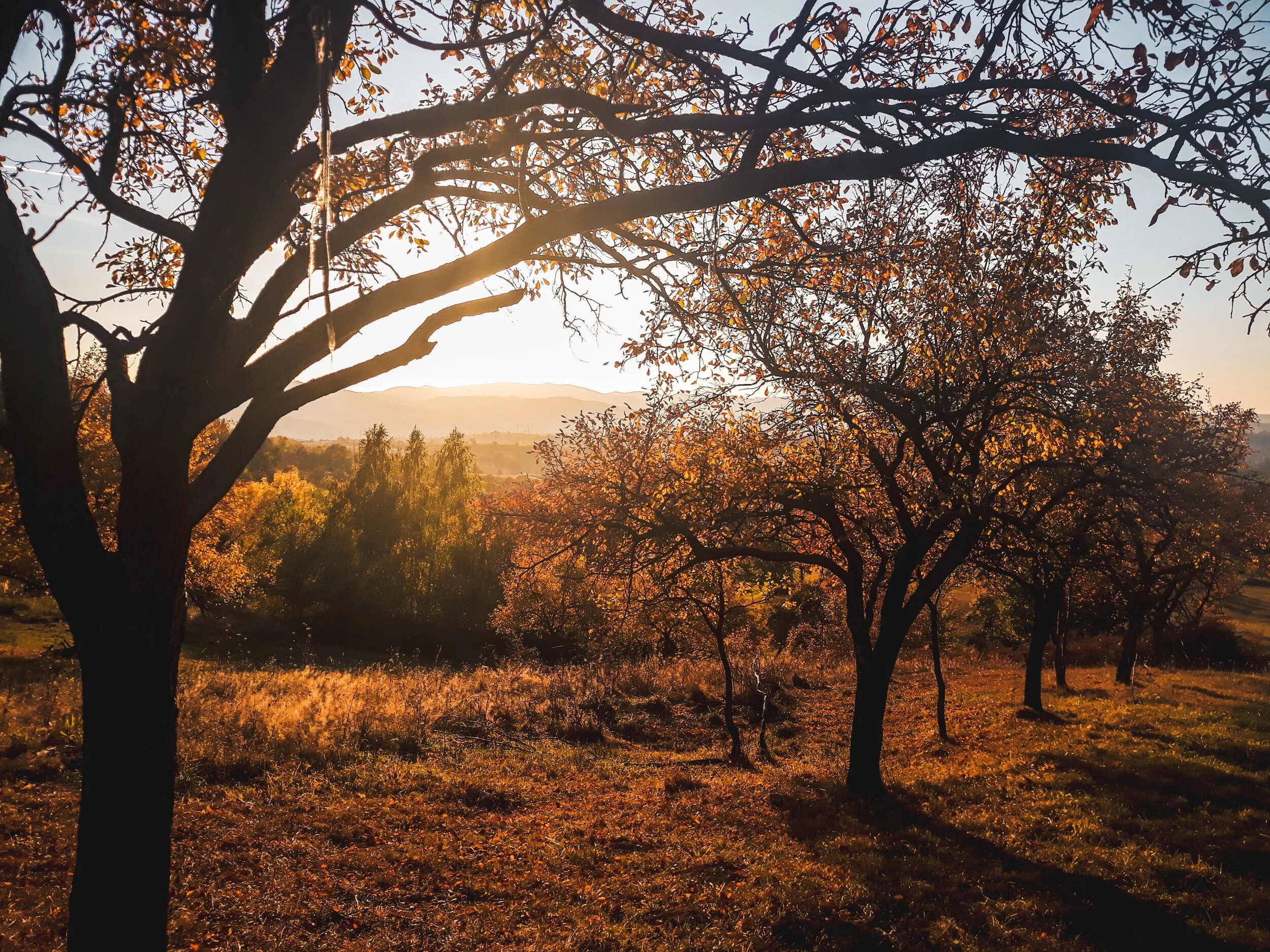 Streams of Gold