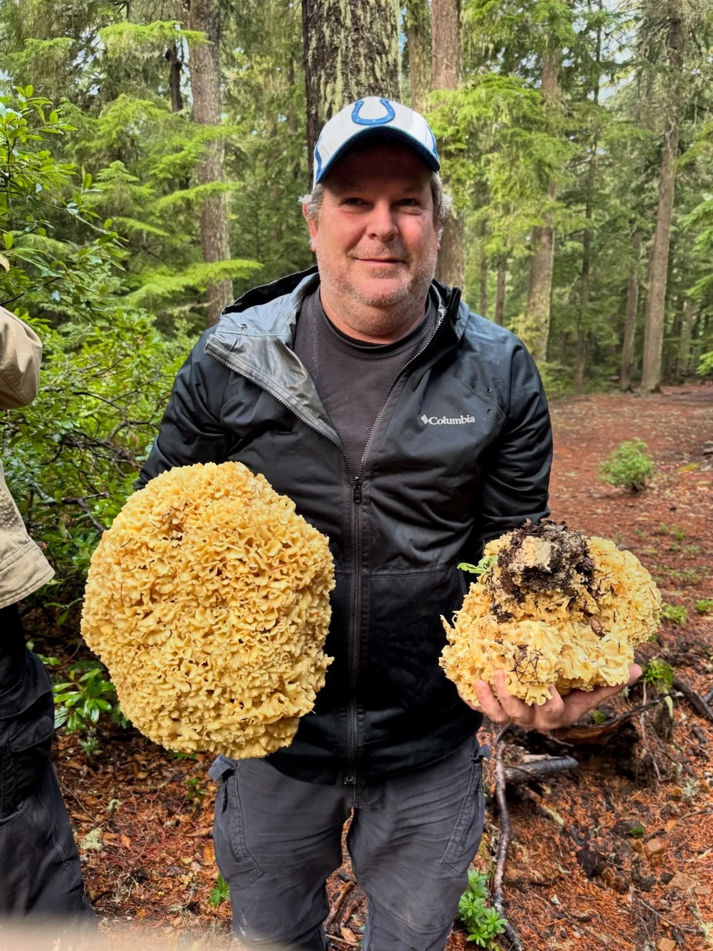 Amazing day this last week foraging mushrooms with my son and our Newberg neighbor @stefanczar of @blacktietours. We found these GIANT cauliflower mushrooms, chanterelles and many more at Stefan&rsquo;s various hidden gems. Follow his account(s) and 