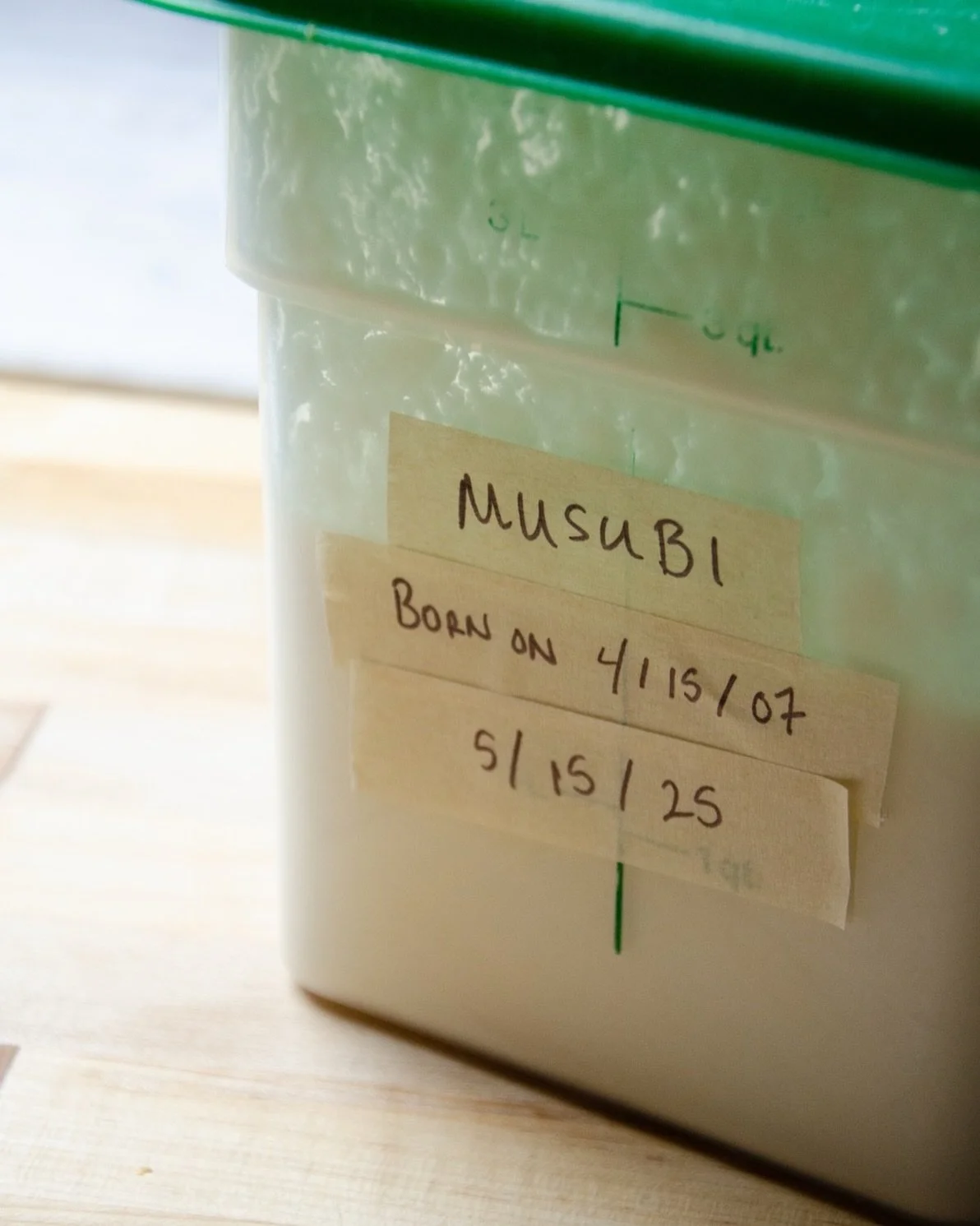Meet Musubi our sourdough starter. 

Shortly after we opened the restaurant, I planted cuttings of Chardonnay and Pinot Noir vines along our property&rsquo;s fence lines.
For the first harvest, I took some Chardonnay grapes and wrapped them in cheese