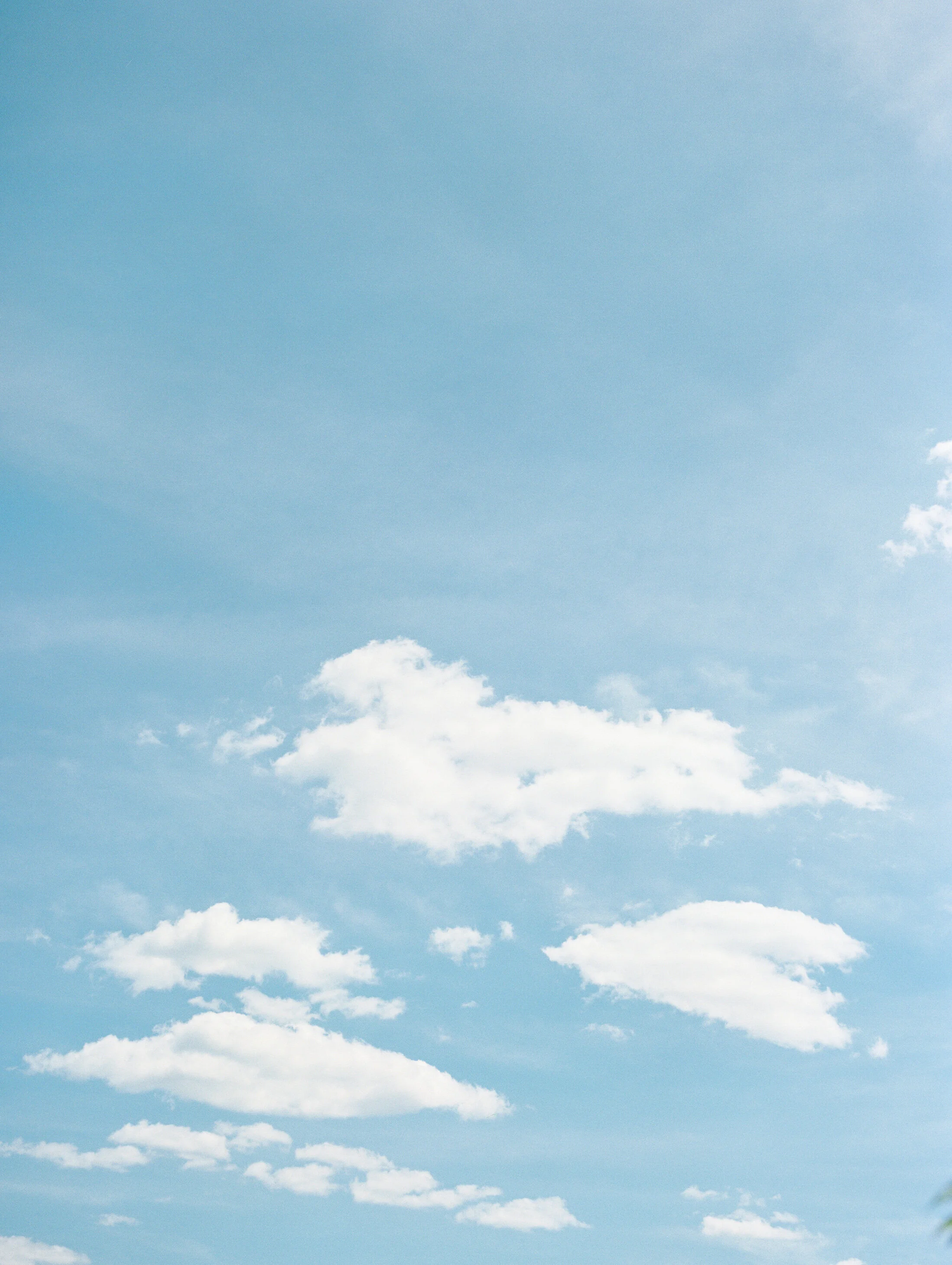 reneehollingsheadphotography_anne%2bbrian_wedding-173.jpg