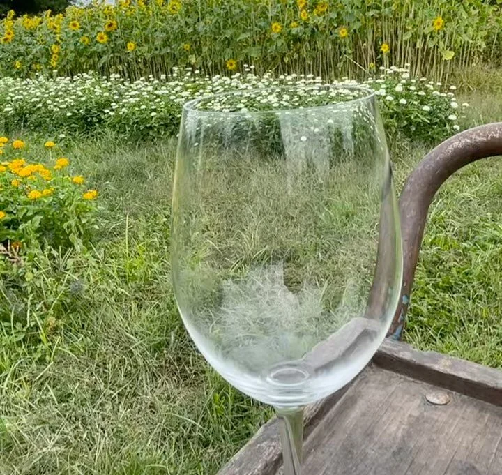 Excited for this one! This Saturday 9/13 marks the release of our 2024 Ancestry Ros&eacute; P&eacute;t-Nat, an estate-grown ancestral method sparkling aged for about a year on the lees in bottle and disgorged by hand. This vintage is predominately Ch