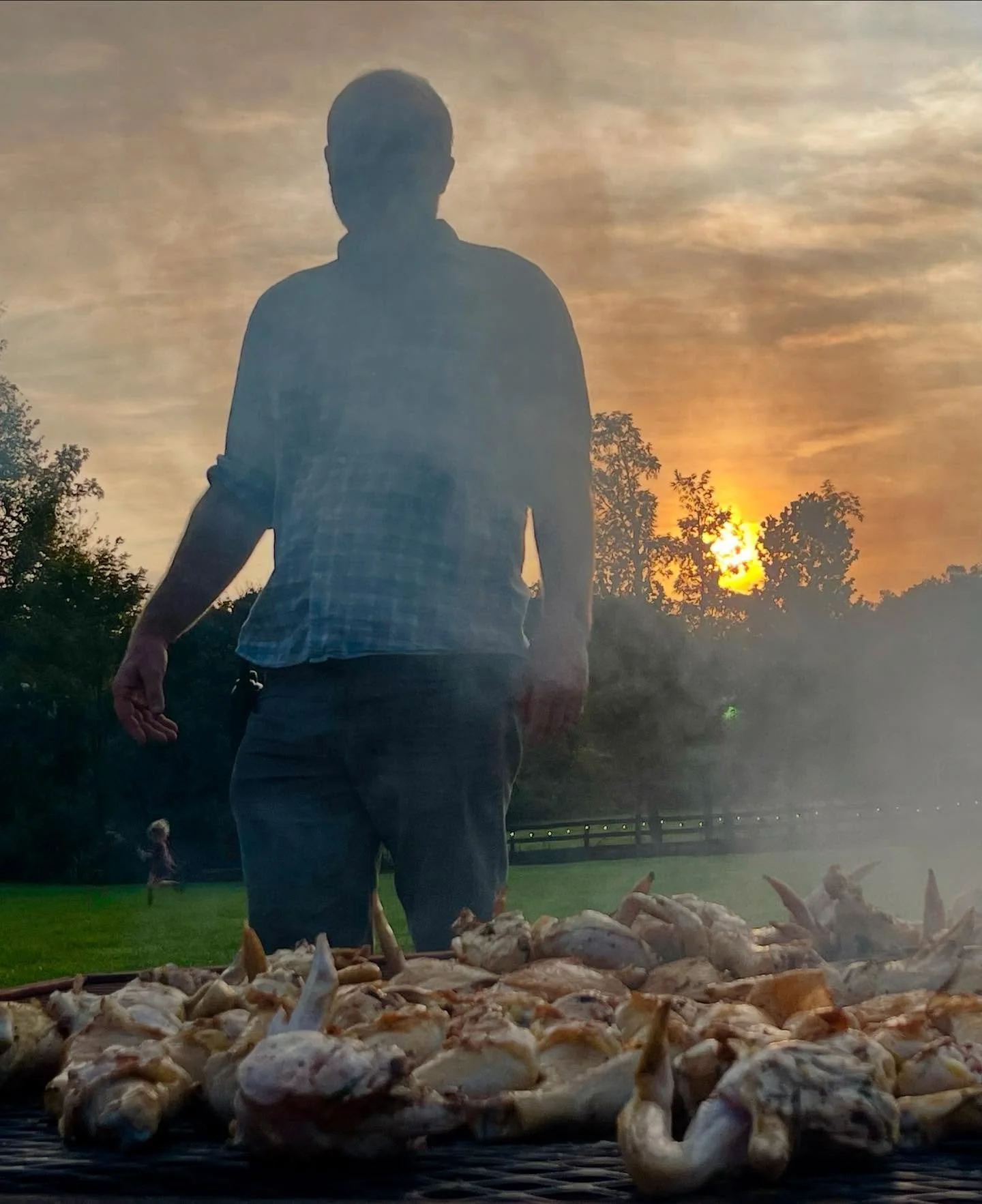 Open Saturday 12-6pm to stock up on meat and wine. Our freezers are LOADED with pasture-raised goodness, plenty to go around. Here&rsquo;s what we have available:

Chicken - whole chickens, backs, legs, thighs, wings

Lamb - ground, shank, leg, bonel