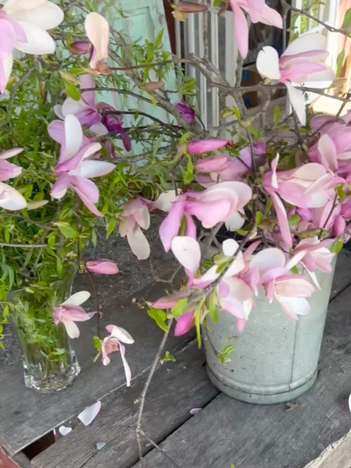 This Friday April 17th at 6pm! 

Announcing SIP AND SEED

We&rsquo;ll share some of our favorite and easy growing veggie and flower seeds! Plant some to take home while you sip on wine and meet other garden enthusiasts. Hosted by co-owner Anna Glenn.