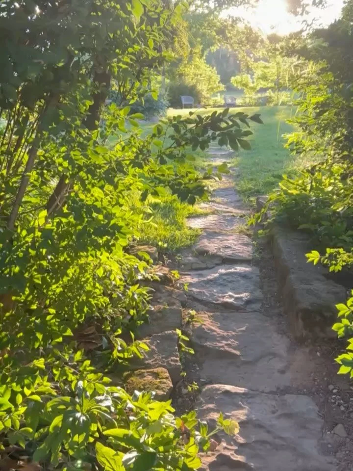 Week in Review

Always finding little nooks of beauty on the farm, flowers everywhere, released a new wine, hosted a delightful wedding, and wine while harvesting.
