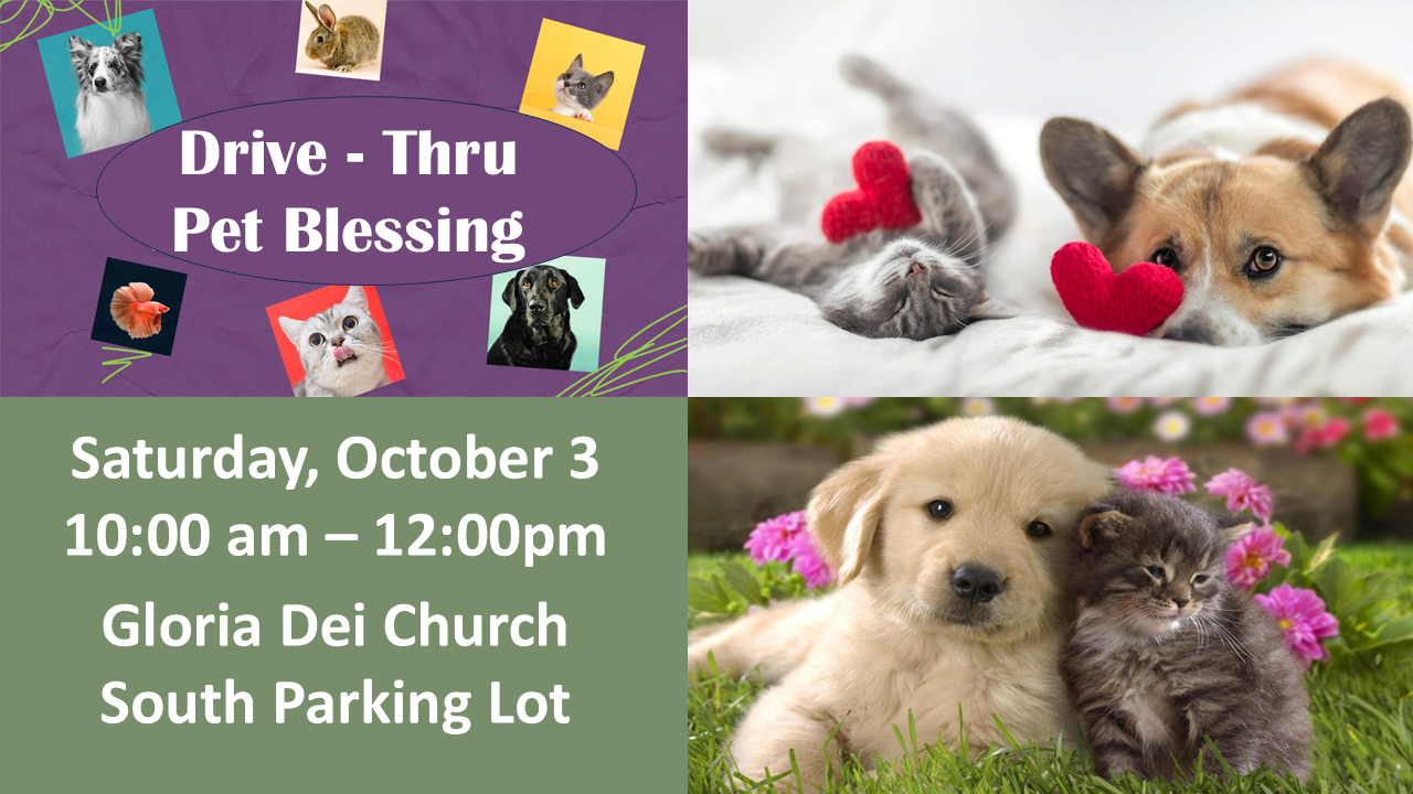 Pet Blessing 2026.landscape.png