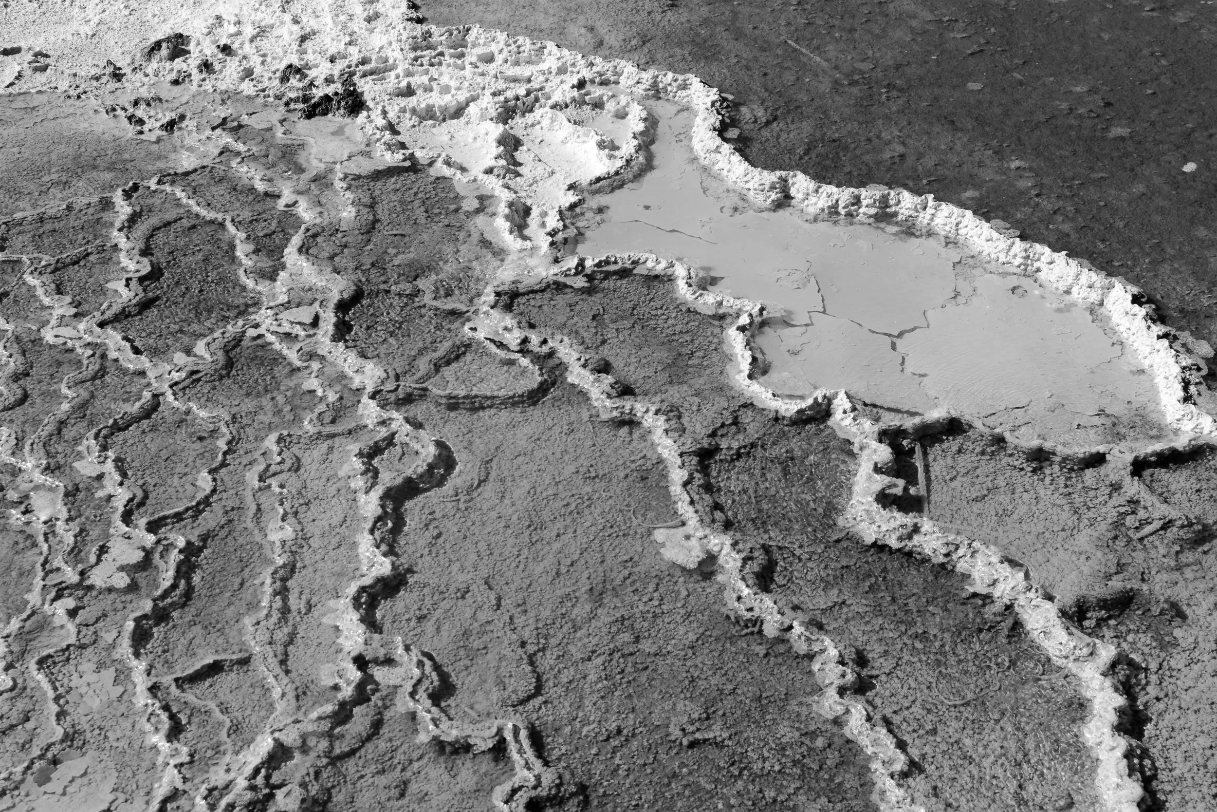 Mineral Lace