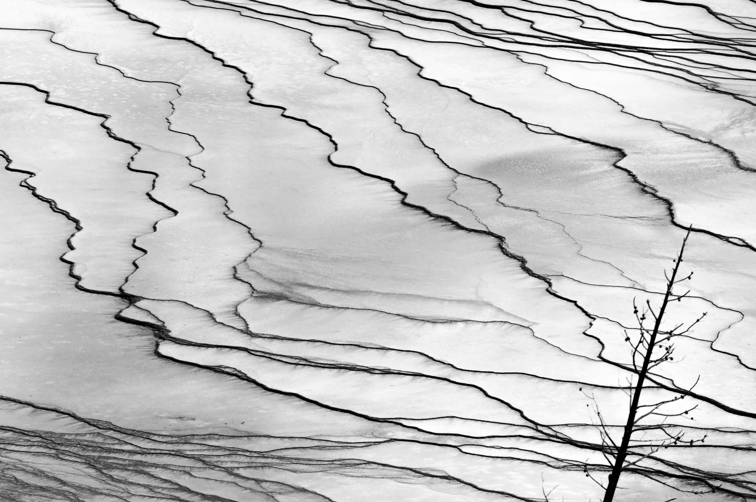 Terrace Geometry