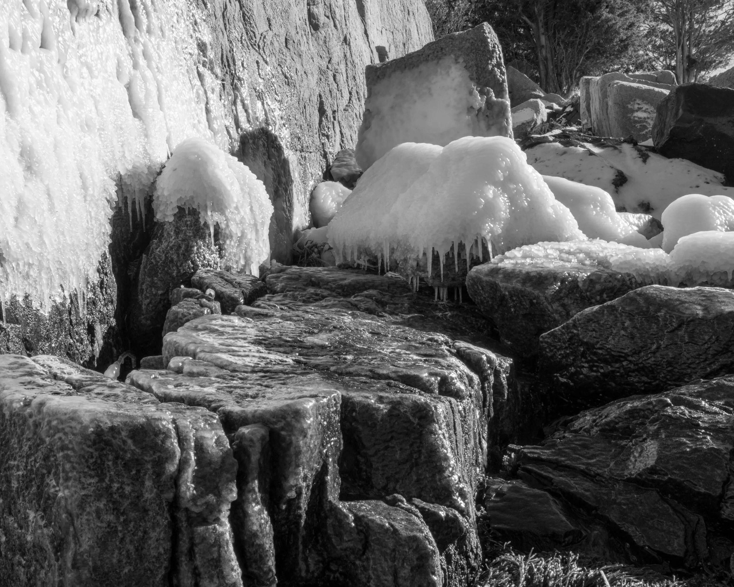 Winter’s Coat