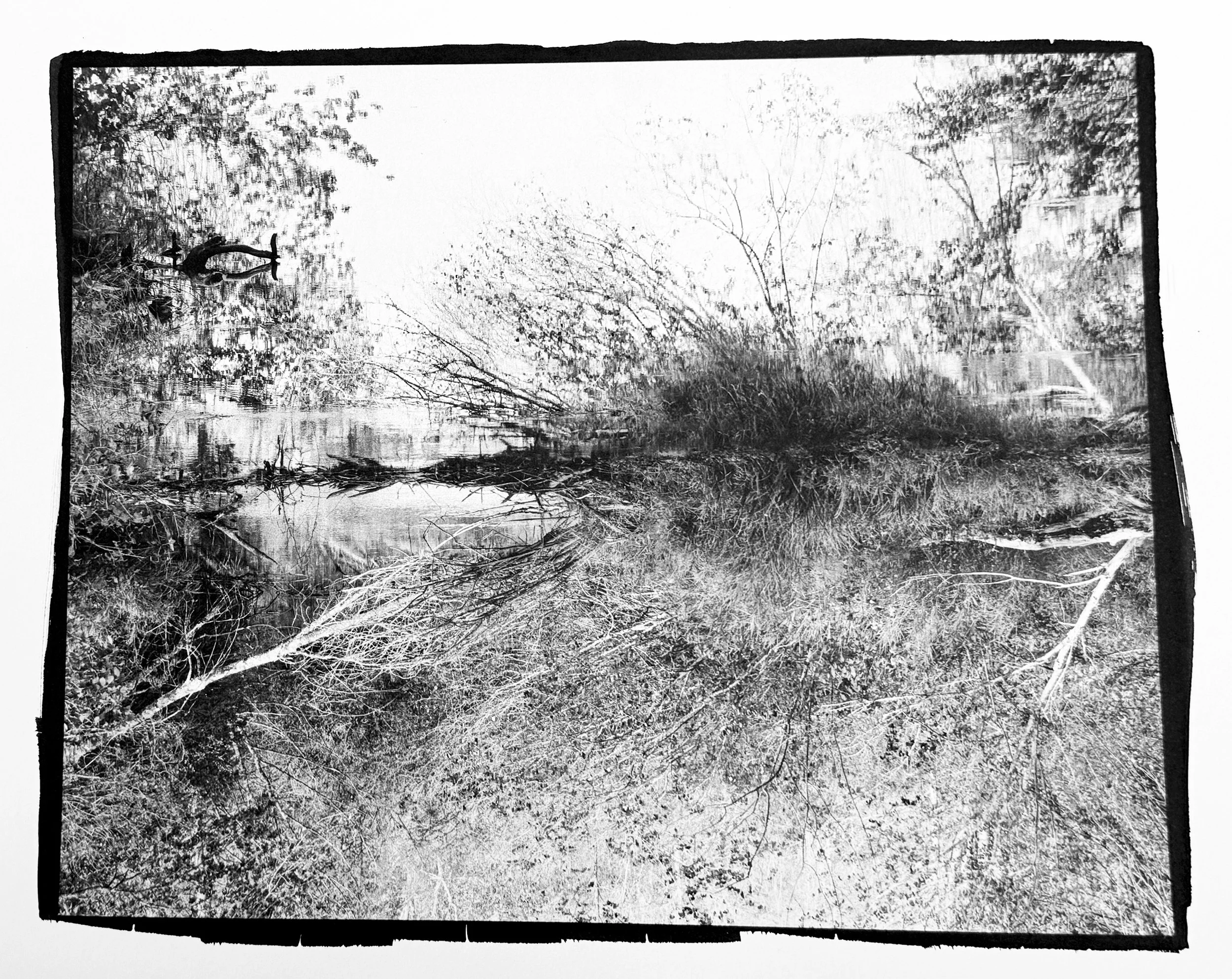 Perception 1