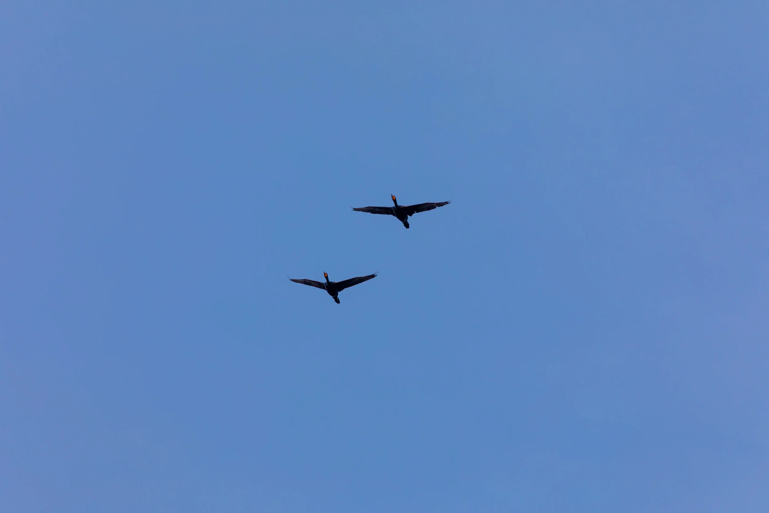 9J3A0534.jpg