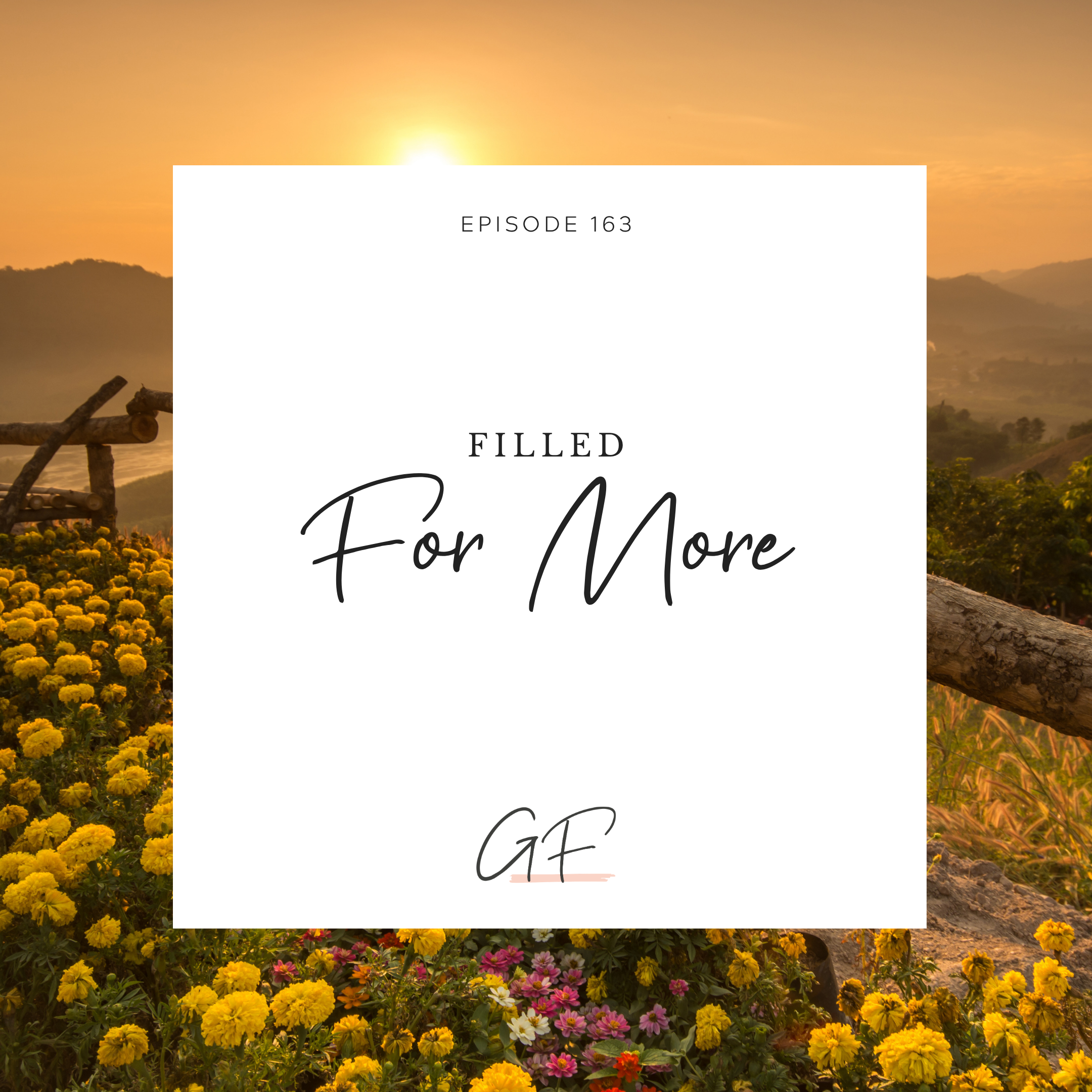 Filled For More