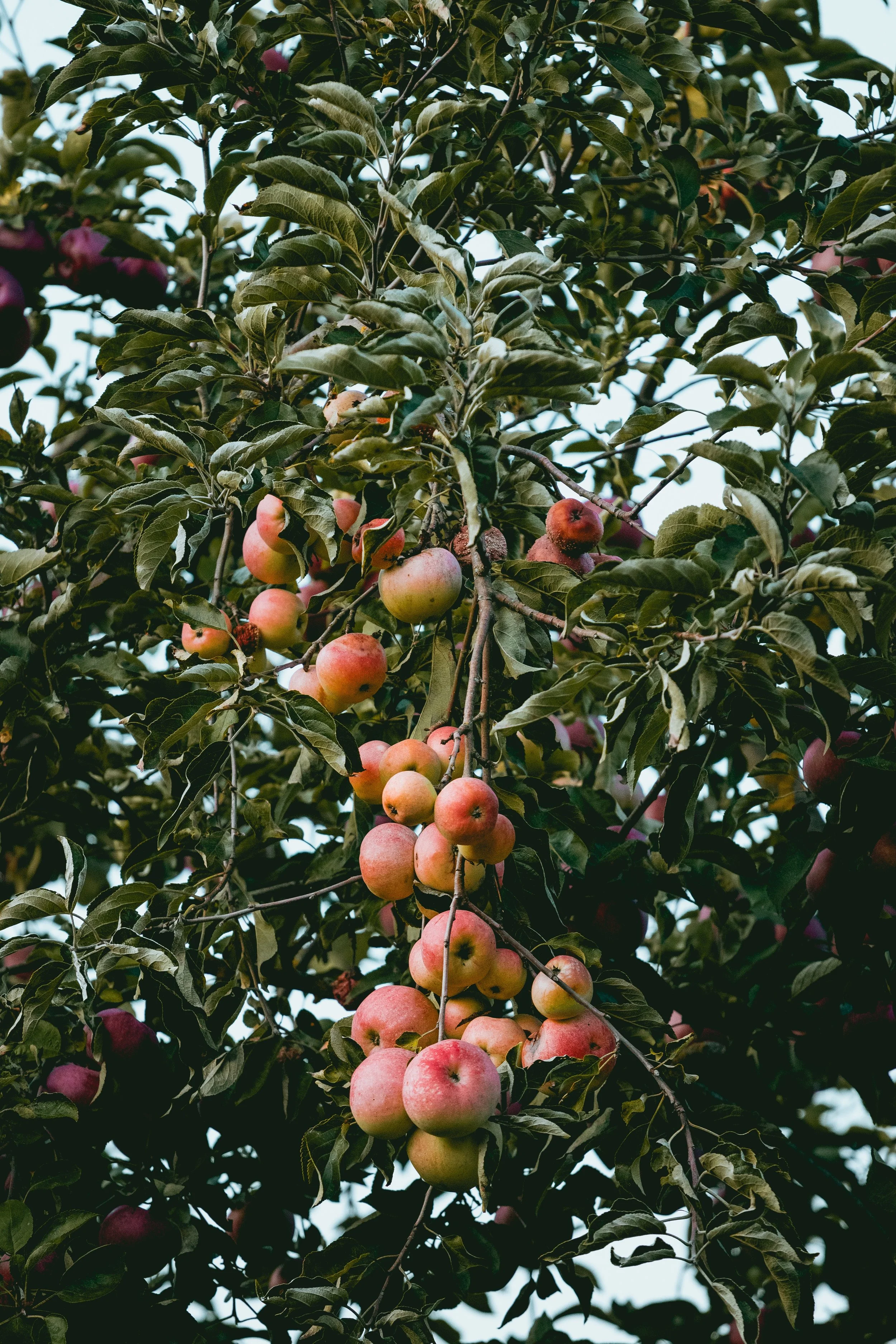 How to create an abundance mentality